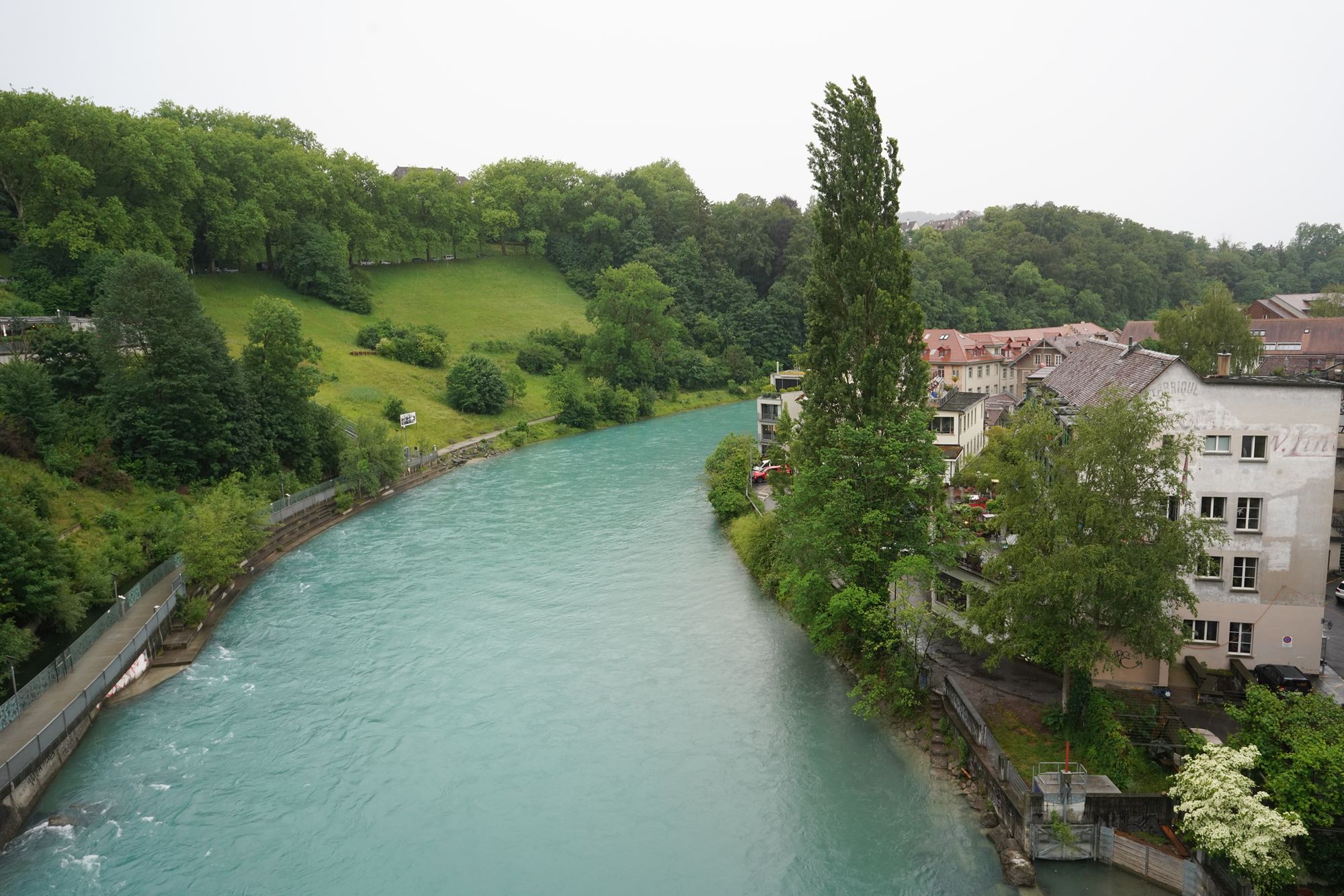 Bern Half Walk I (69)