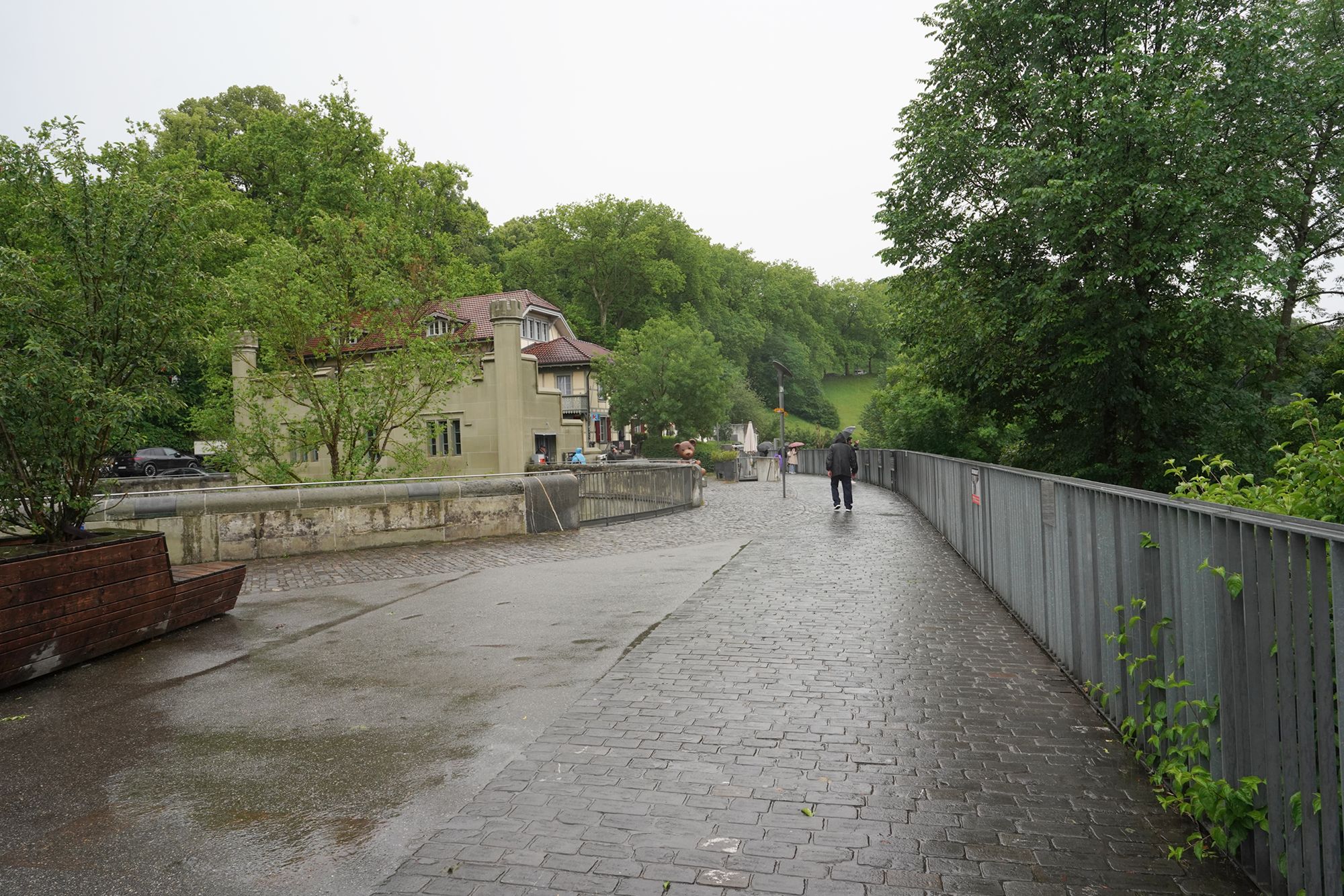 Bern Half Walk I (71)