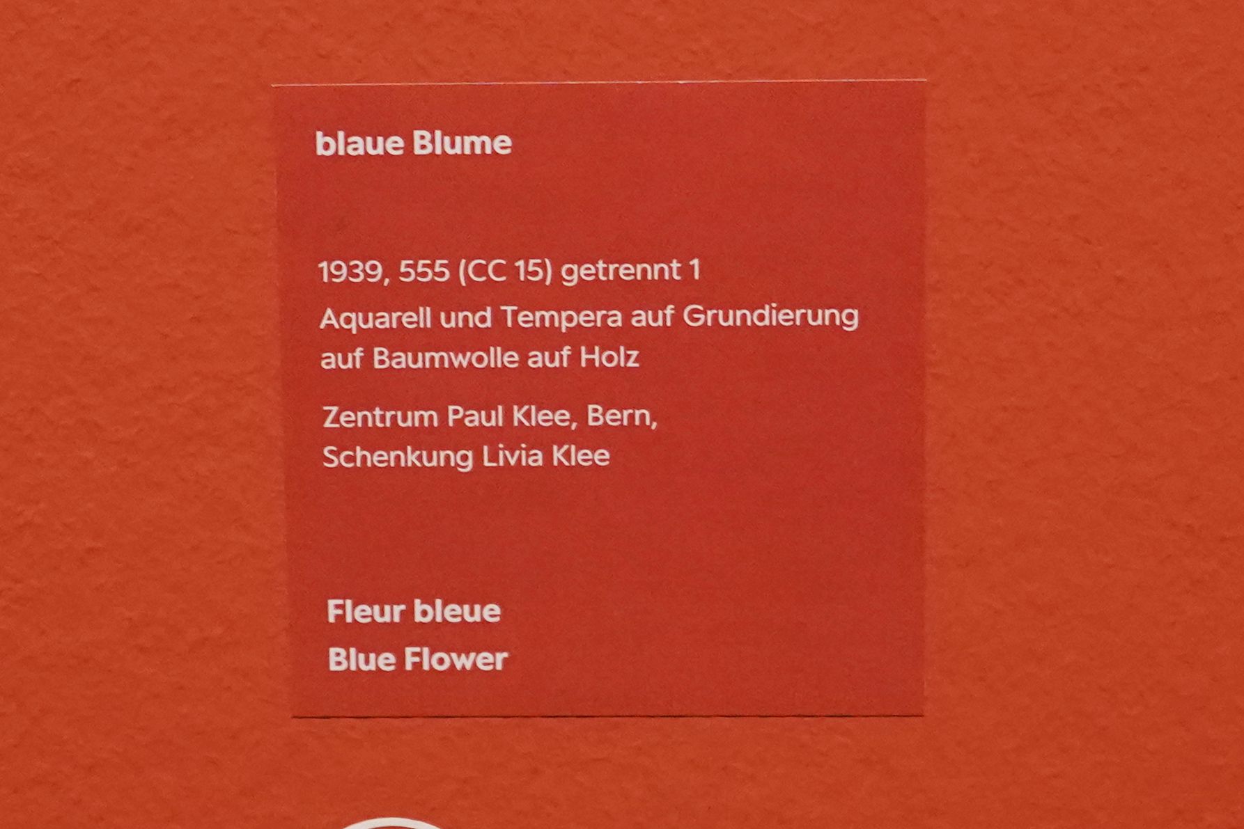 Bern Zentrum Paul Klee (108)