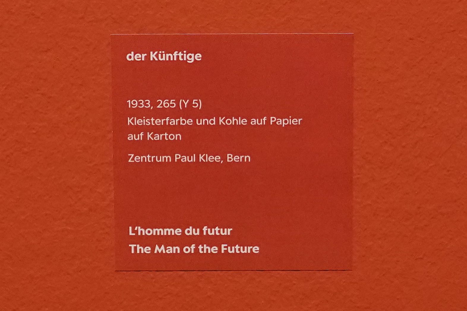 Bern Zentrum Paul Klee (116)