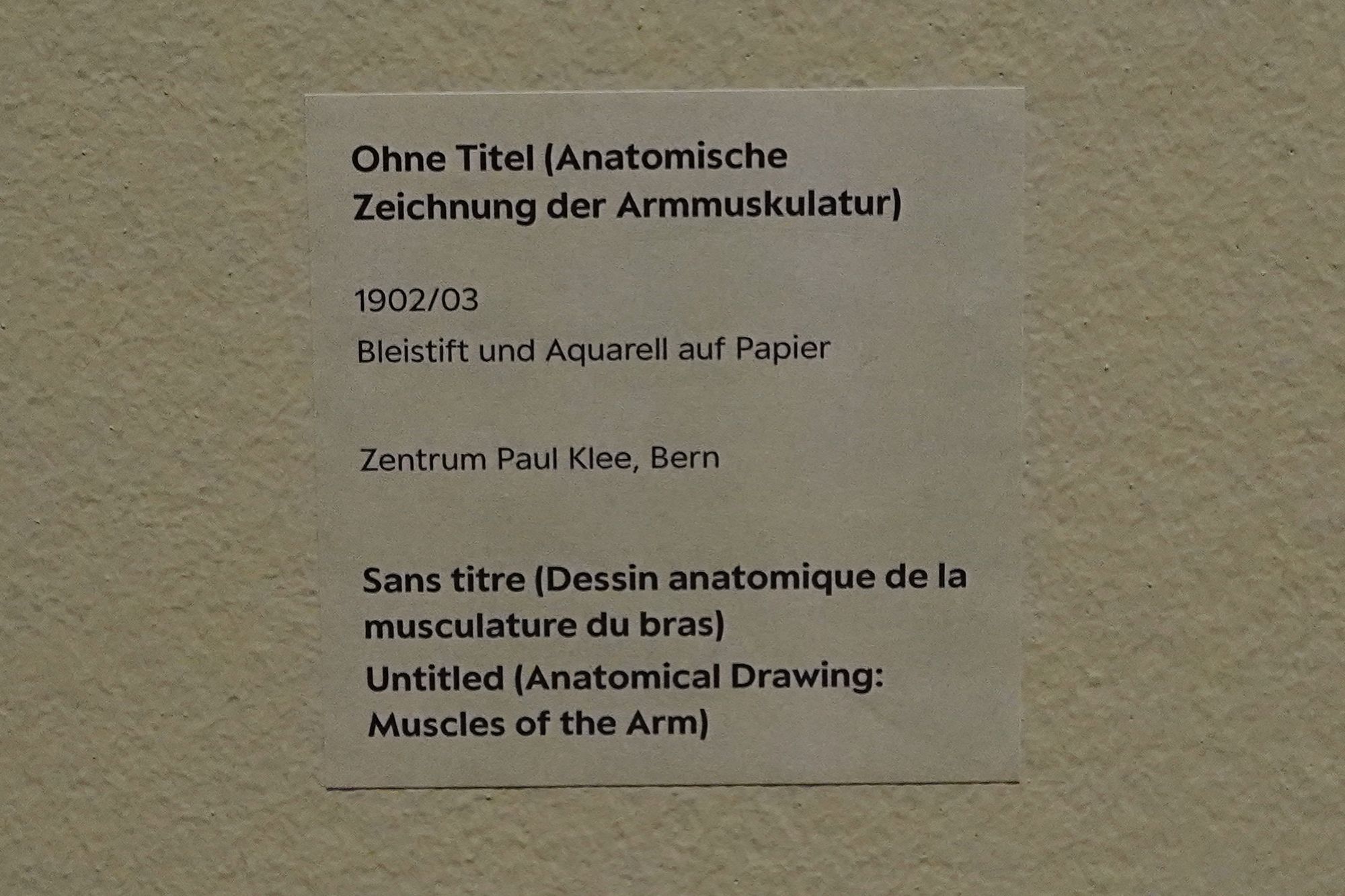 Bern Zentrum Paul Klee (28)