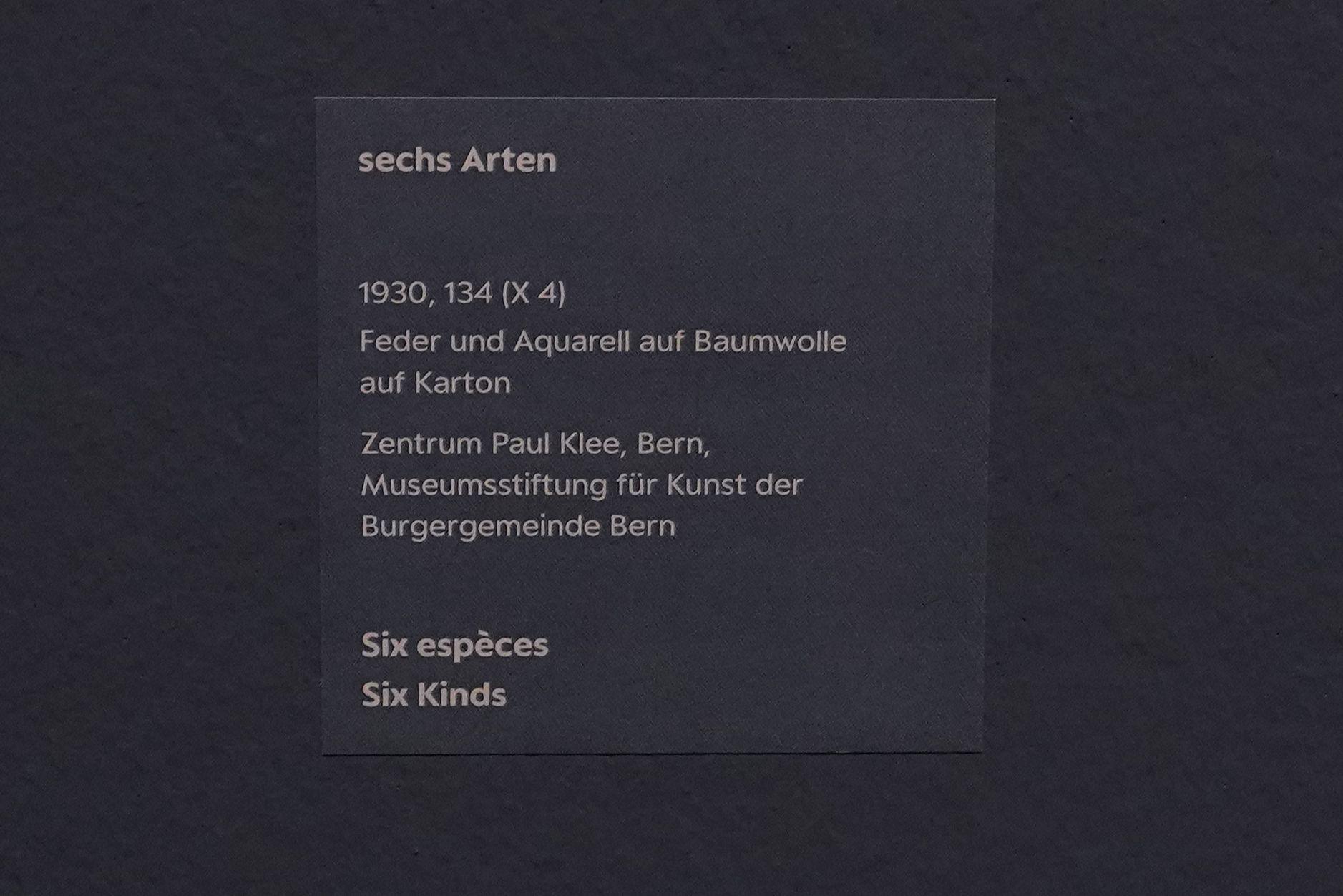 Bern Zentrum Paul Klee (78)