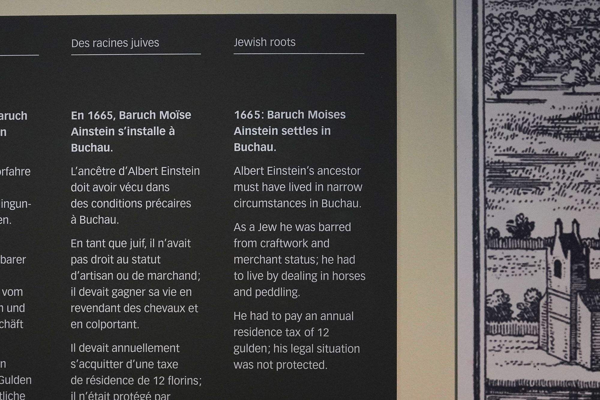 Bernisches Historisches Museum – Einstein I (12) Bernisches Historisches Museum – Einstein I (12)