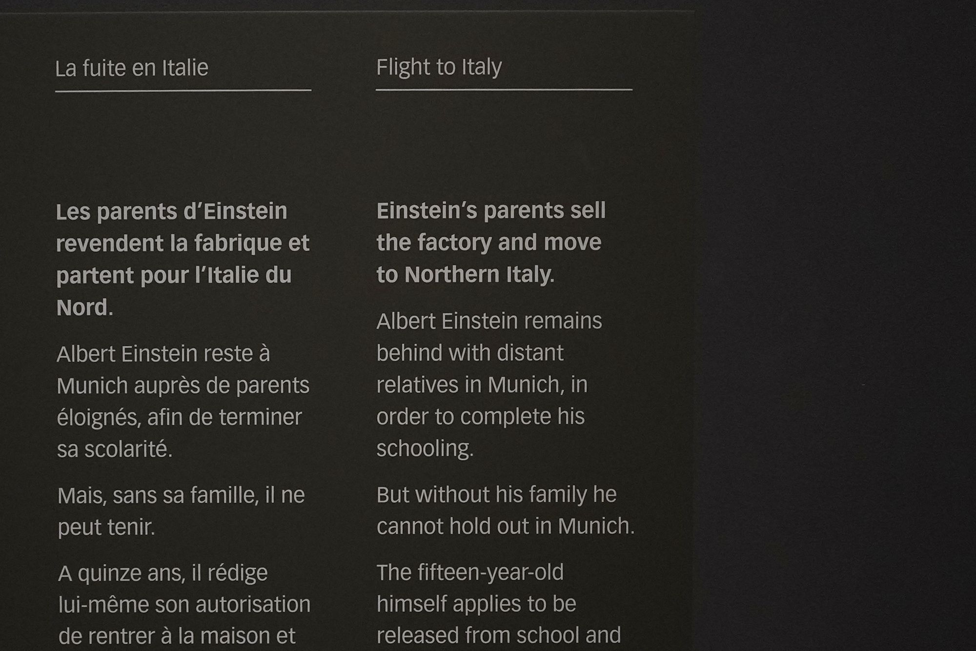 Bernisches Historisches Museum – Einstein I (50) Bernisches Historisches Museum – Einstein I (50)