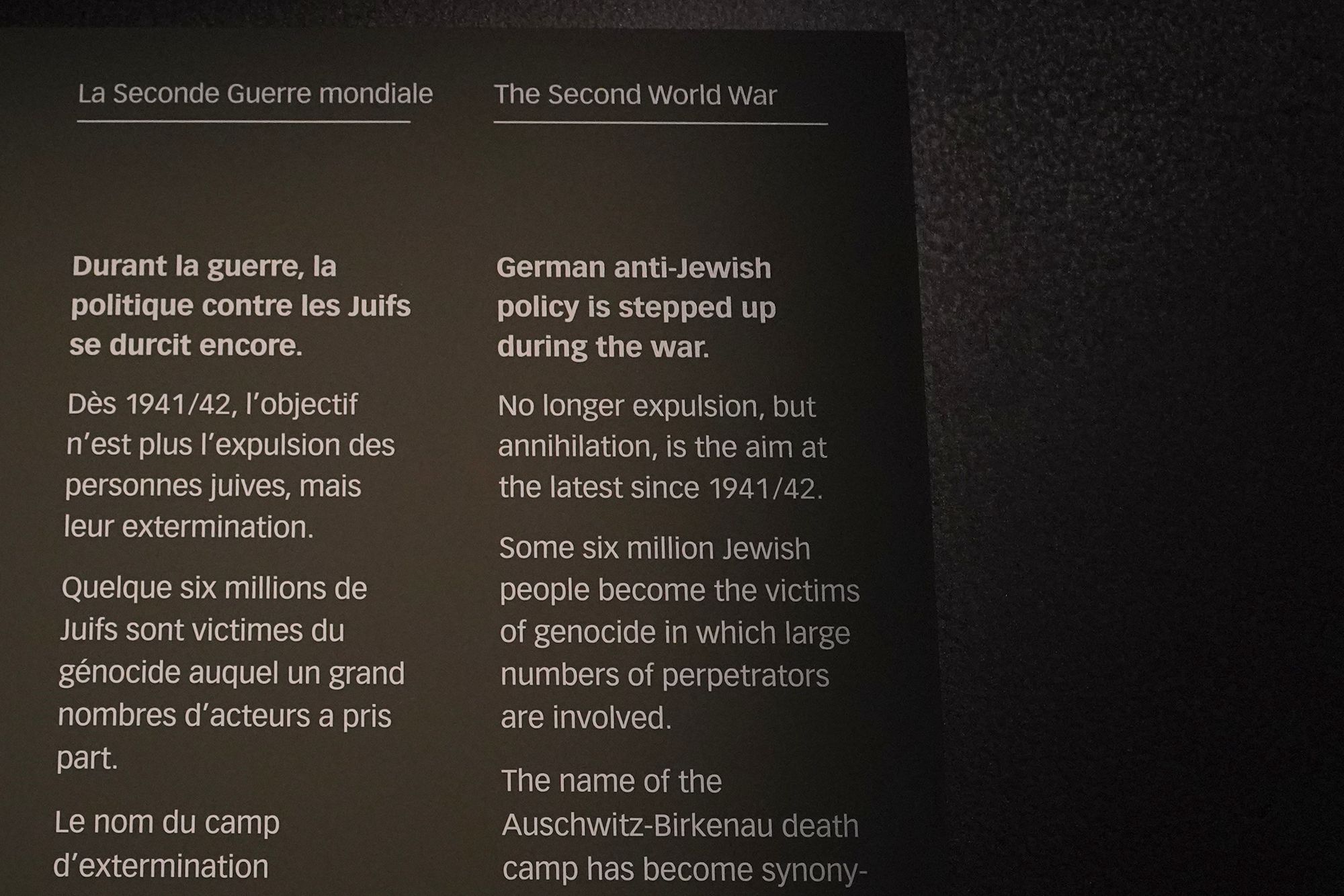 Bernisches Historisches Museum – Einstein II (123)