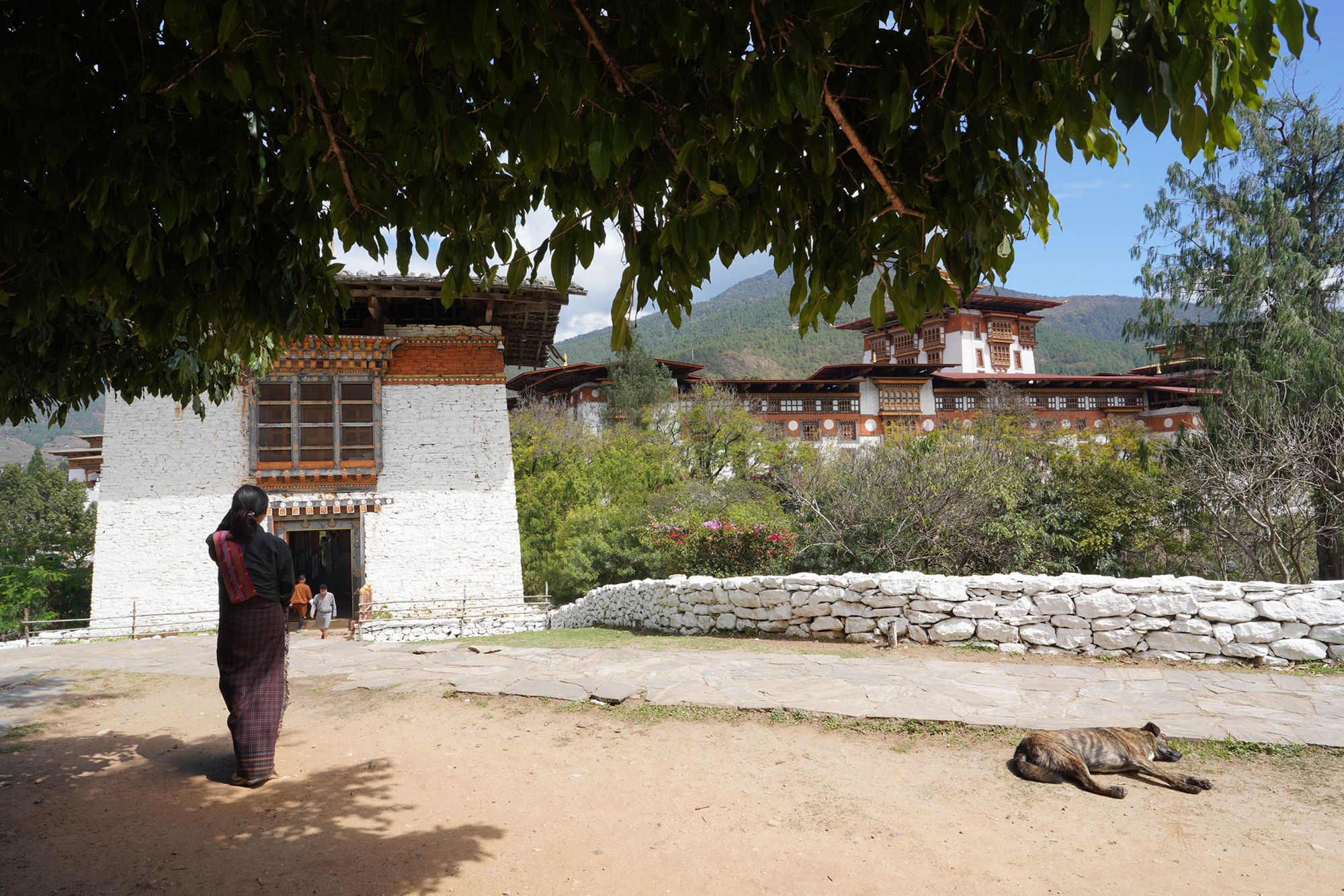 Bhutan – Punakha Dzong and Suspension Bridge, Paro Rinpung Dzong and Ta Dzong (1) Bhutan – Punakha Dzong and Suspension Bridge, Paro Rinpung Dzong and Ta Dzong (1)