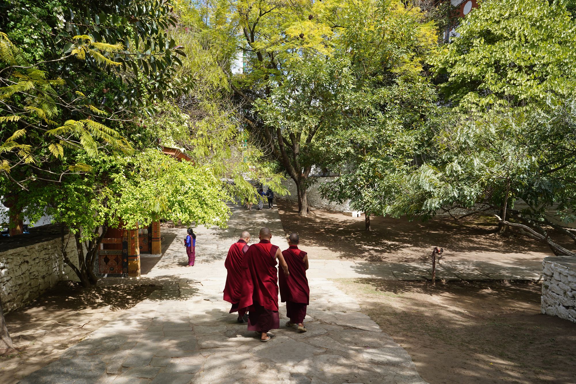 Bhutan – Punakha Dzong and Suspension Bridge, Paro Rinpung Dzong and Ta Dzong (18) Bhutan – Punakha Dzong and Suspension Bridge, Paro Rinpung Dzong and Ta Dzong (18)