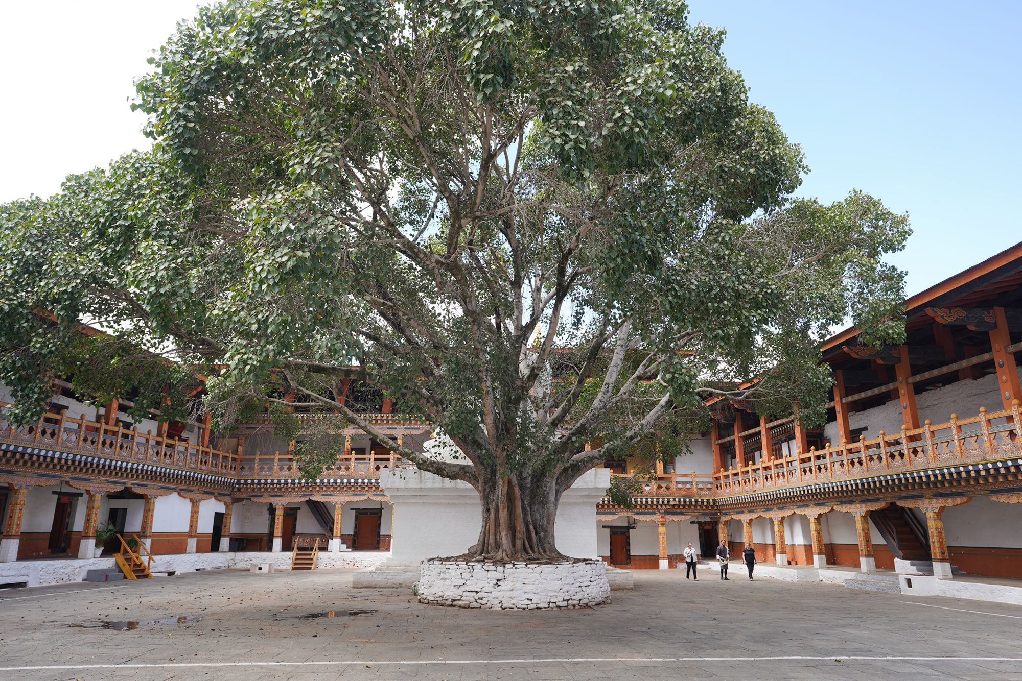 Bhutan – Punakha Dzong and Suspension Bridge, Paro Rinpung Dzong and Ta Dzong (44) Bhutan – Punakha Dzong and Suspension Bridge, Paro Rinpung Dzong and Ta Dzong (44)