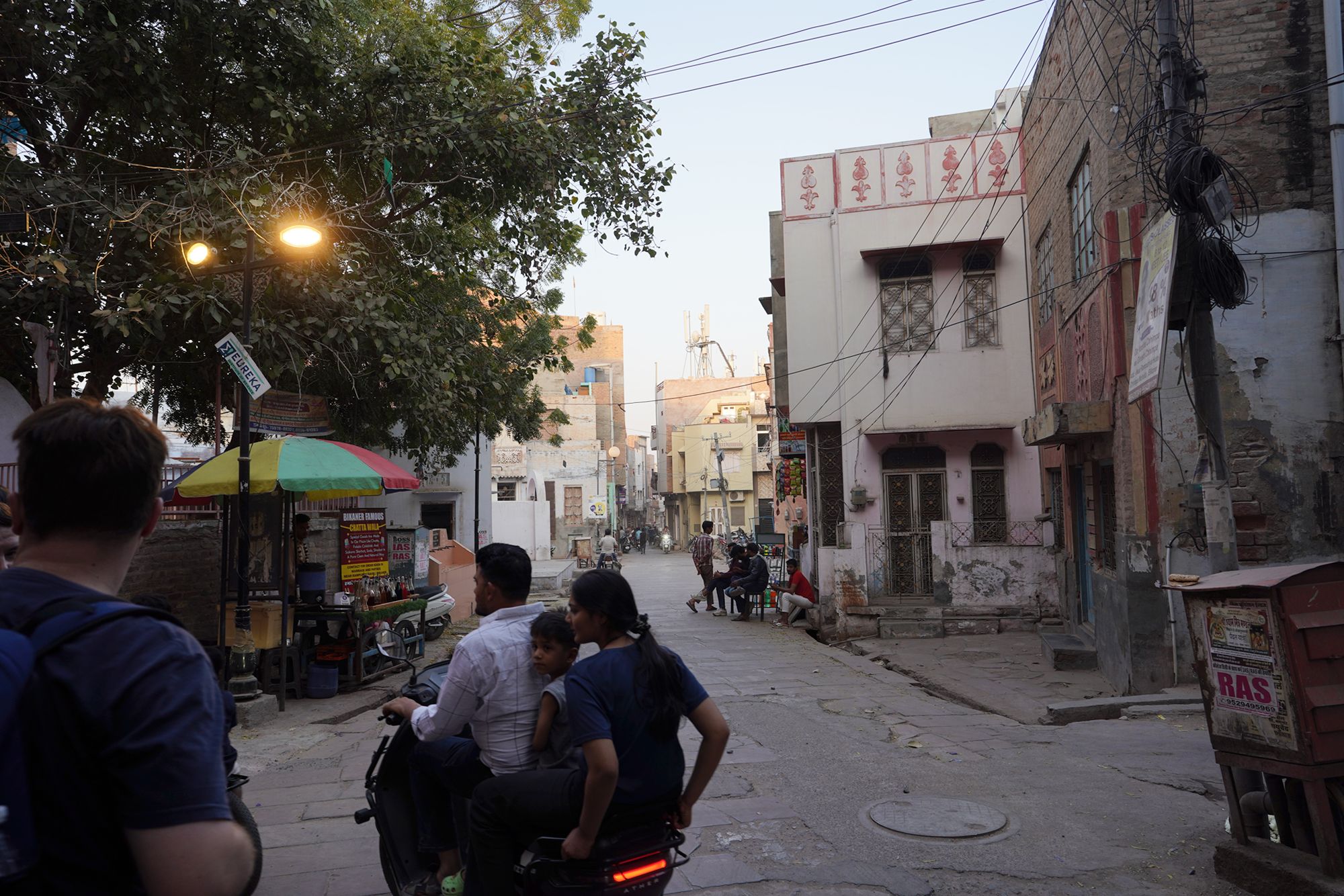 Bikaner, Junagarth Palace and Rampuria Haveli (164)
