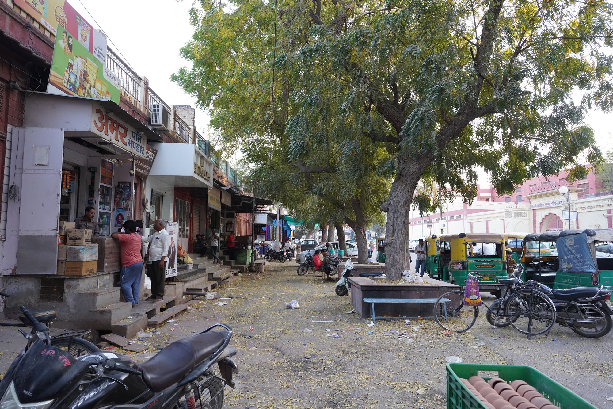 Bikaner, Junagarth Palace and Rampuria Haveli (166)