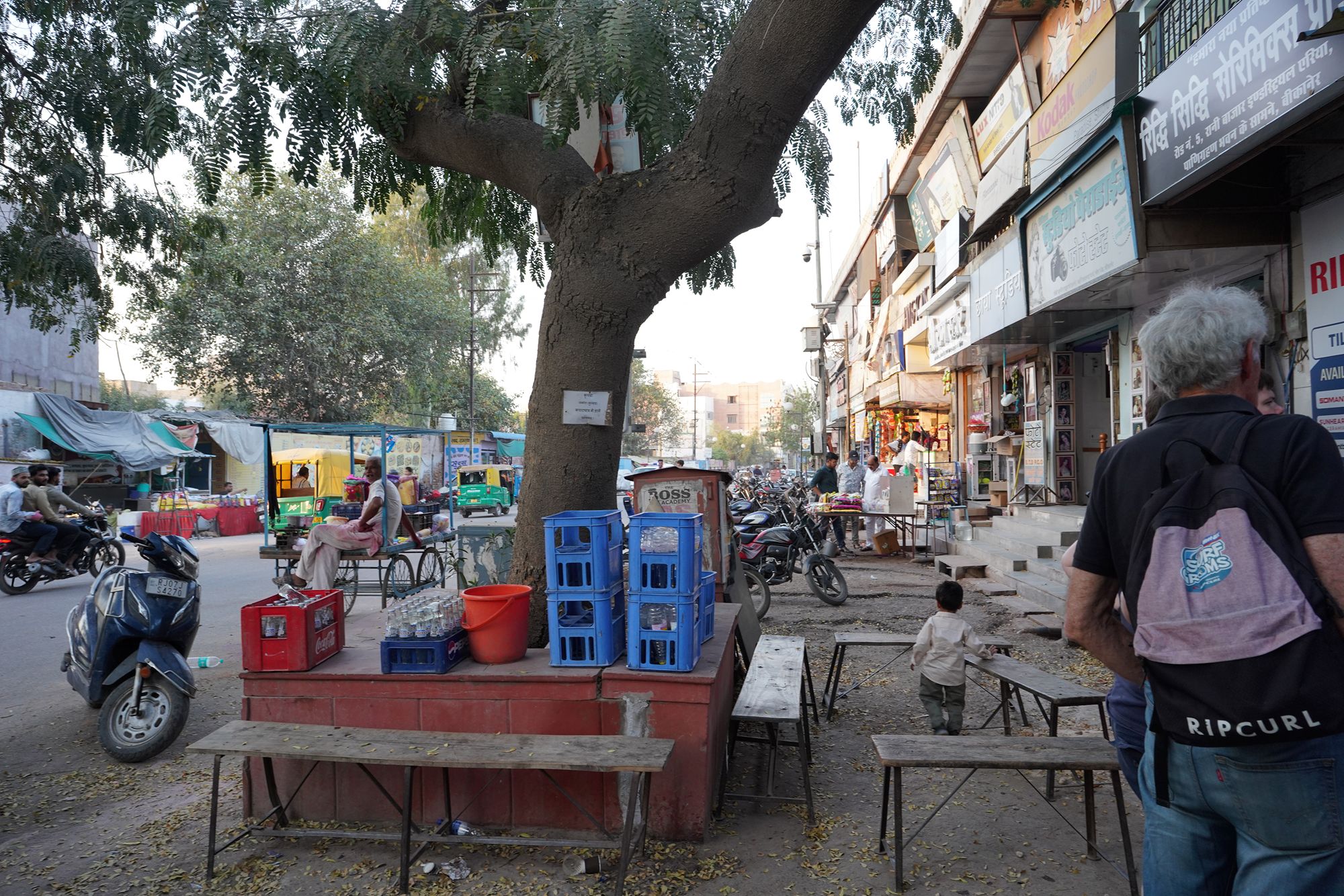 Bikaner, Junagarth Palace and Rampuria Haveli (167)