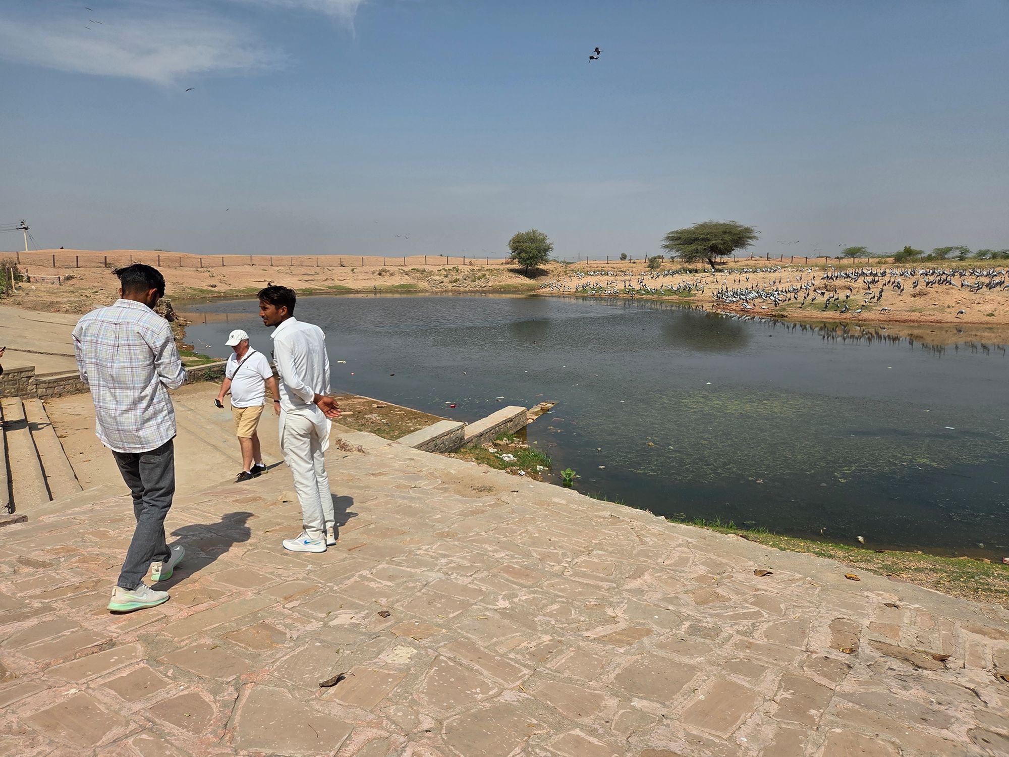 Bikaner, Junagarth Palace and Rampuria Haveli (3)