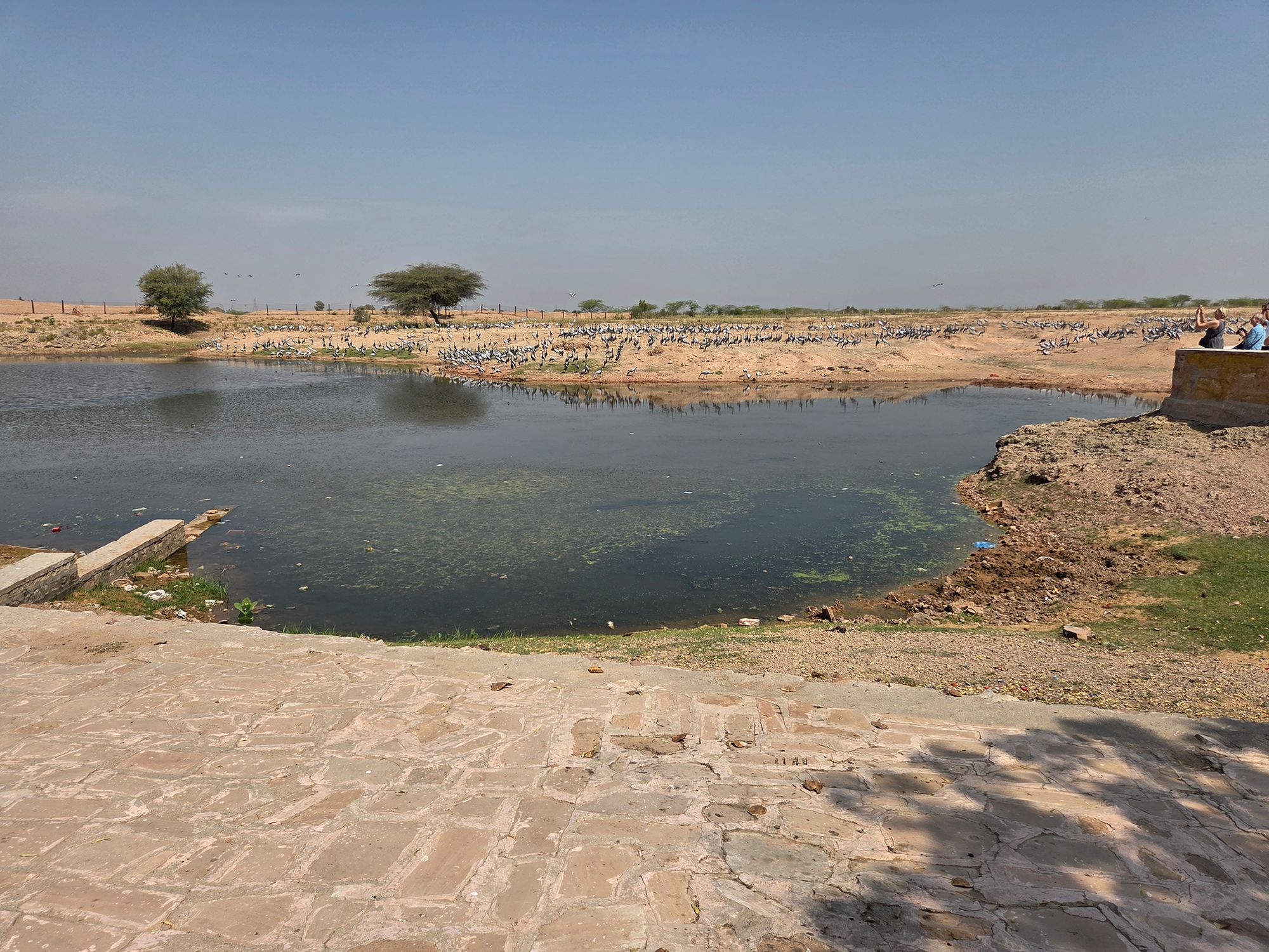 Bikaner, Junagarth Palace and Rampuria Haveli (4)