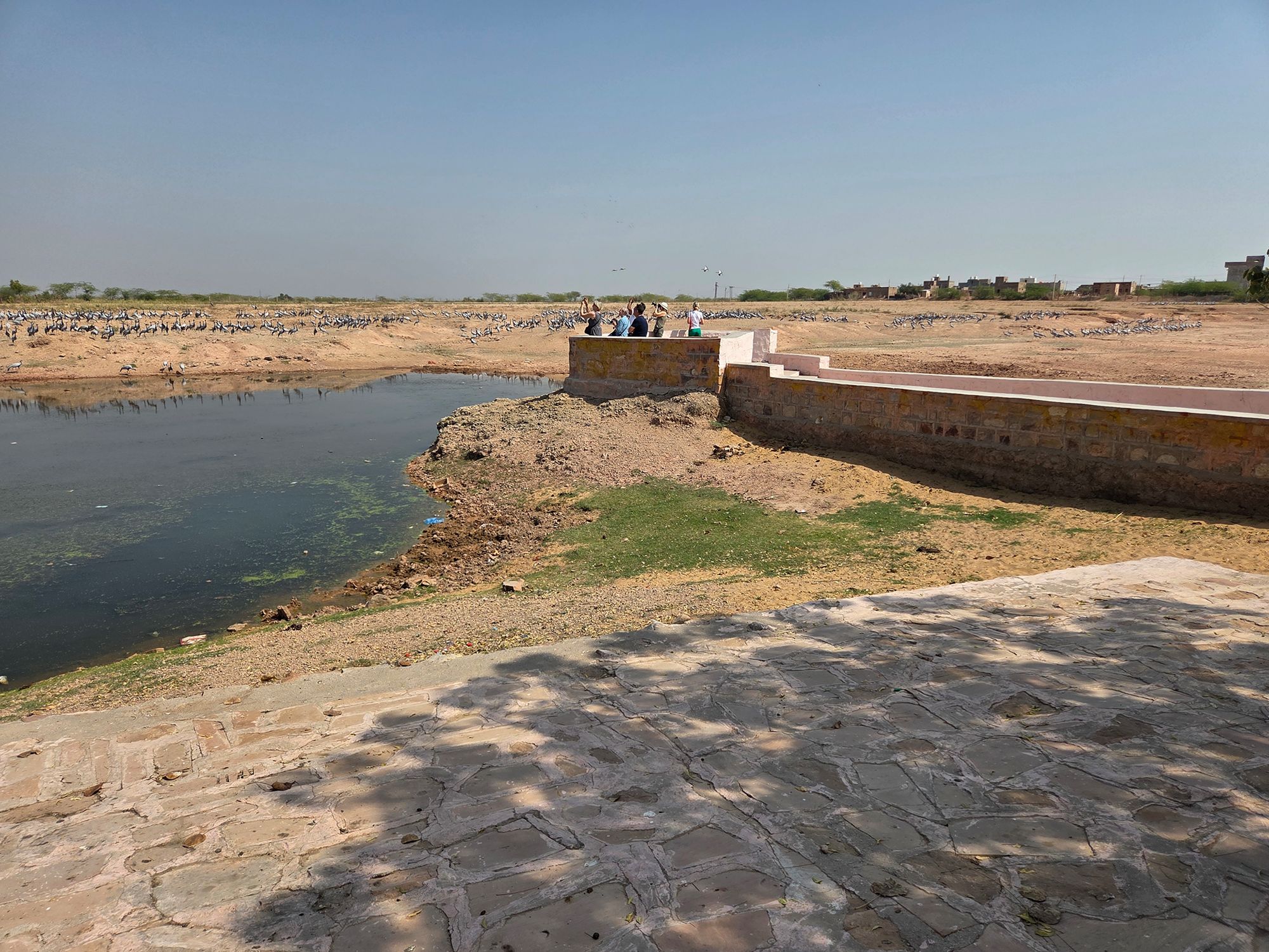 Bikaner, Junagarth Palace and Rampuria Haveli (5)