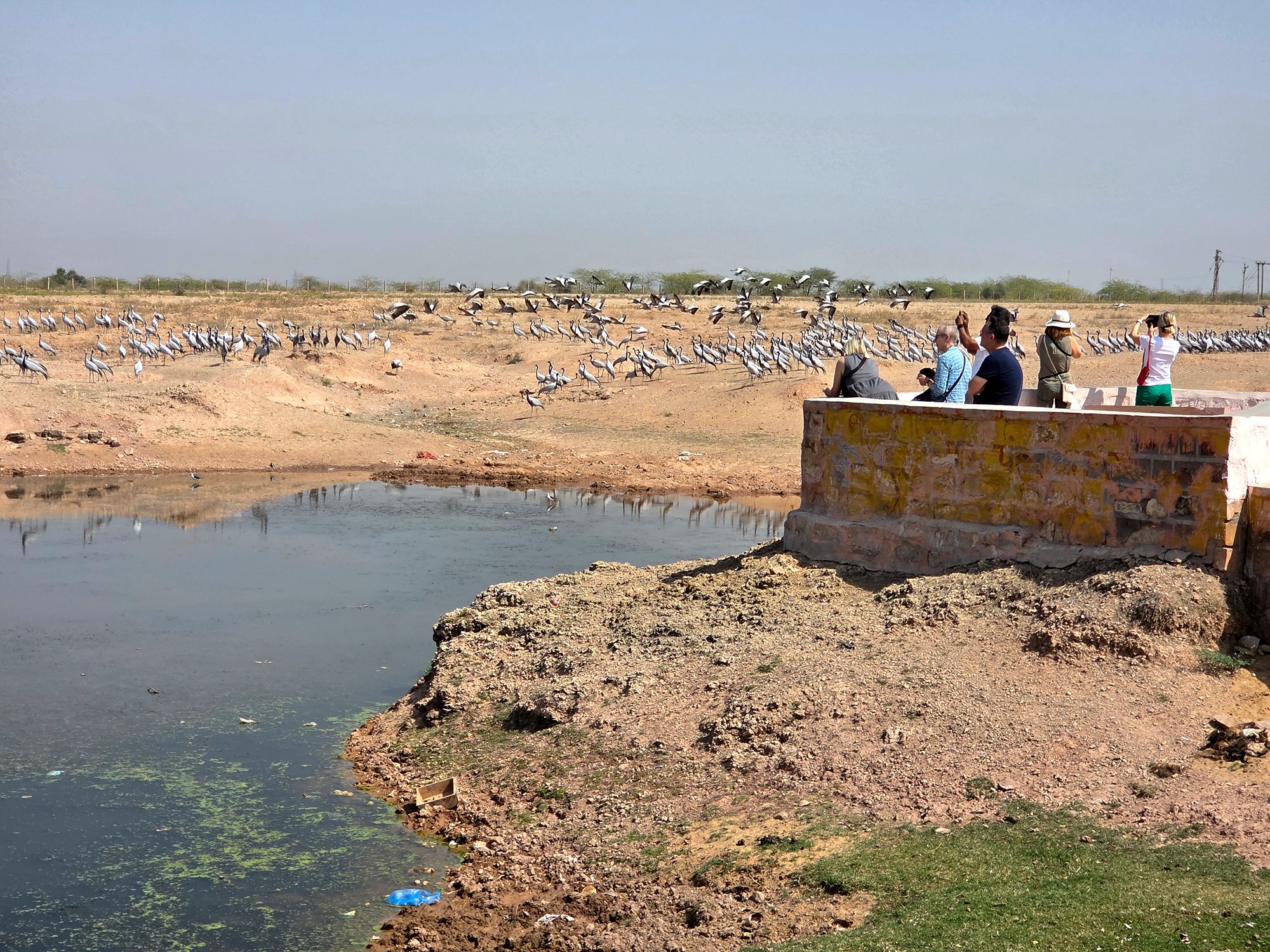Bikaner, Junagarth Palace and Rampuria Haveli (8)
