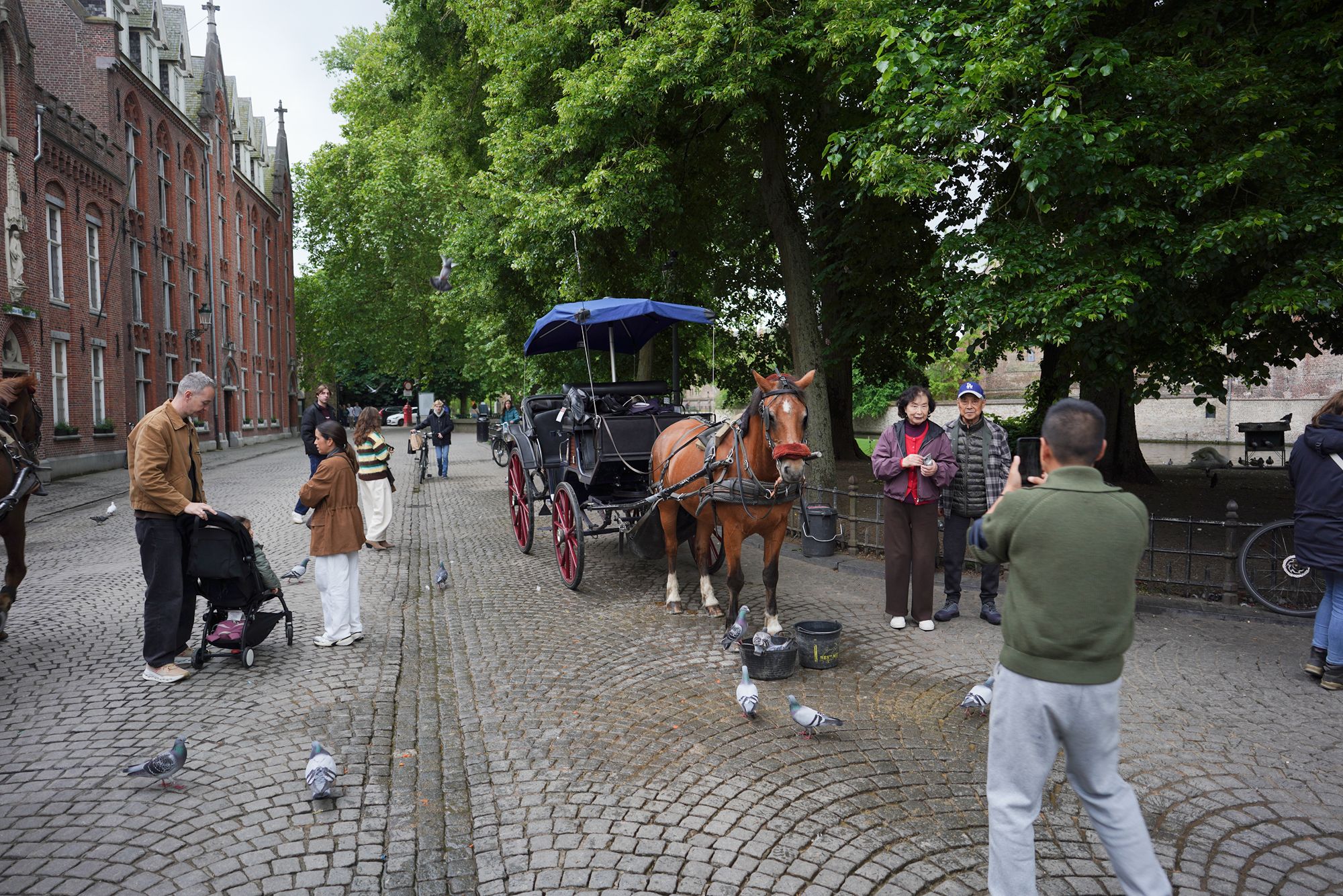 Bruge Walk II (15) Bruge Walk II (15)