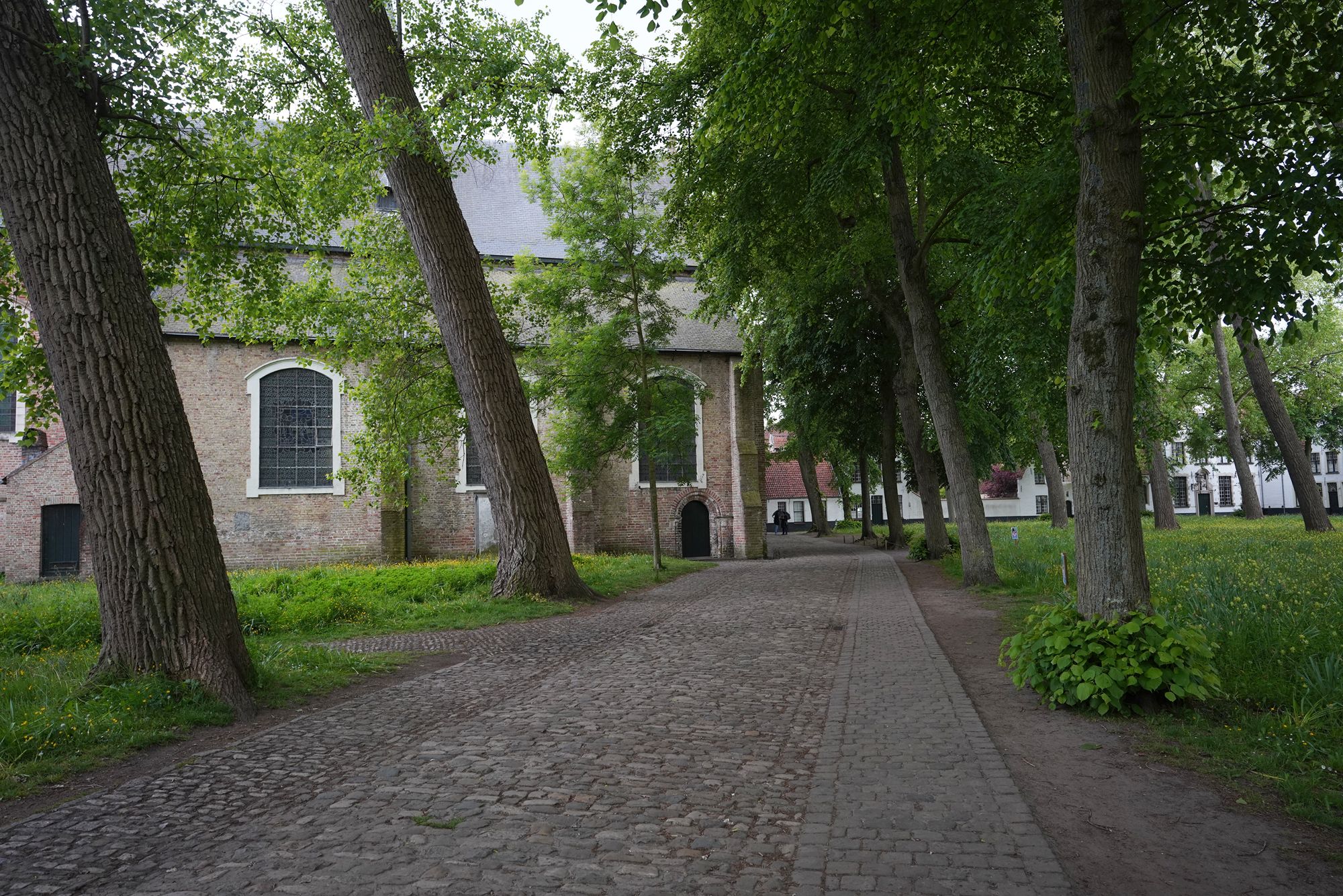 Bruge Walk II (23) Bruge Walk II (23)