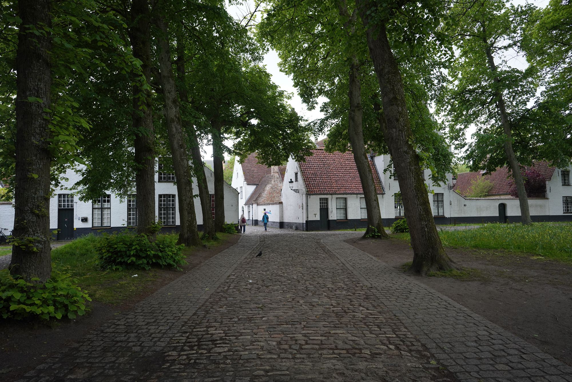 Bruge Walk II (30) Bruge Walk II (30)