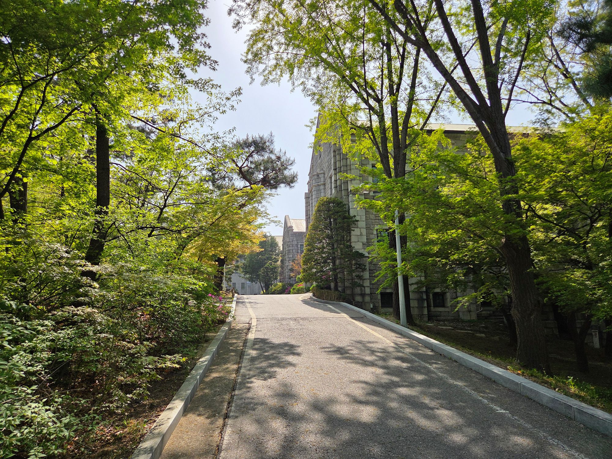 Ewha Womans University (24) Ewha Womans University (24)