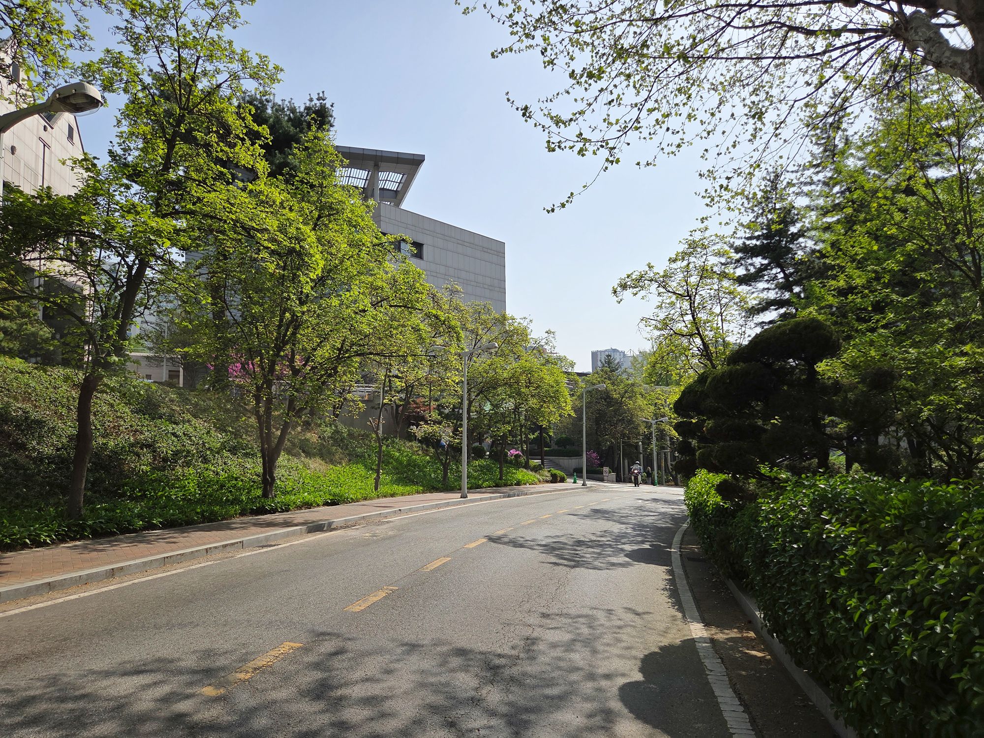 Ewha Womans University (35) Ewha Womans University (35)