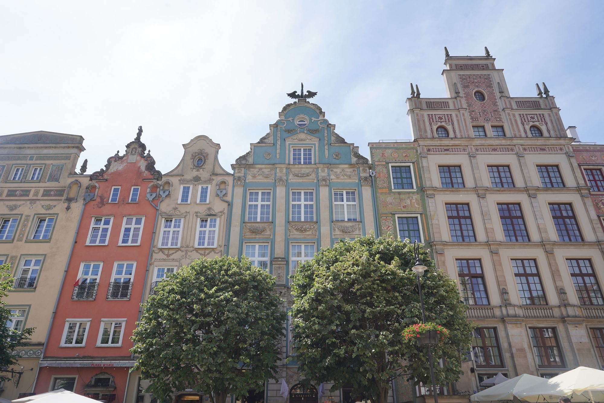 Gdansk Walk I (11)