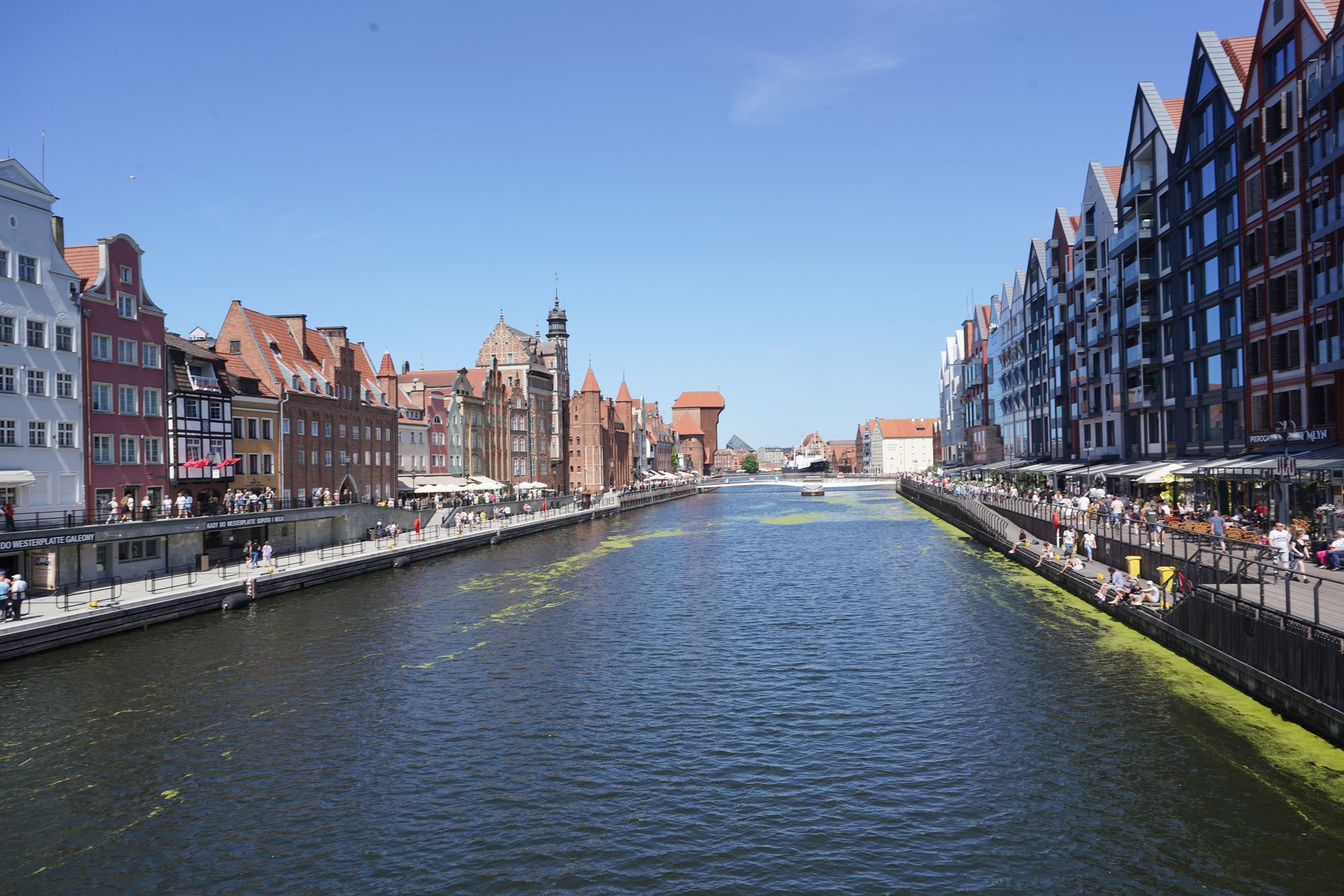 Gdansk Walk II (4)