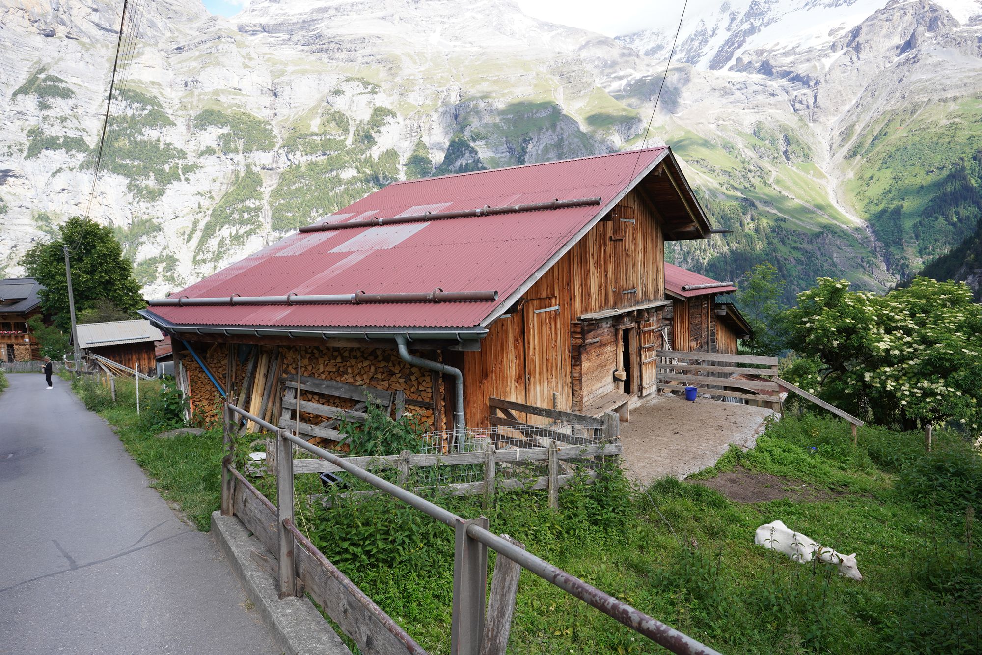 Gimmelwald (108) Gimmelwald (108)