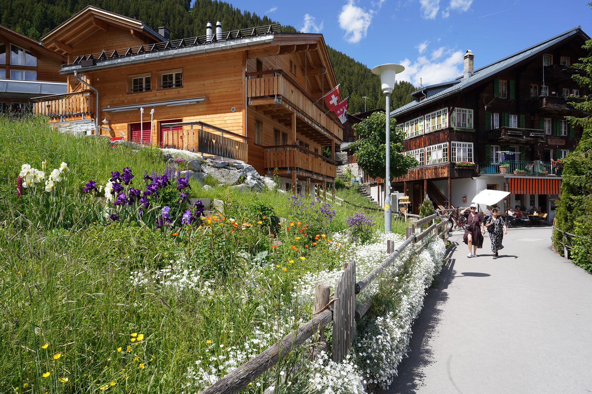 Gimmelwald (11) Gimmelwald (11)