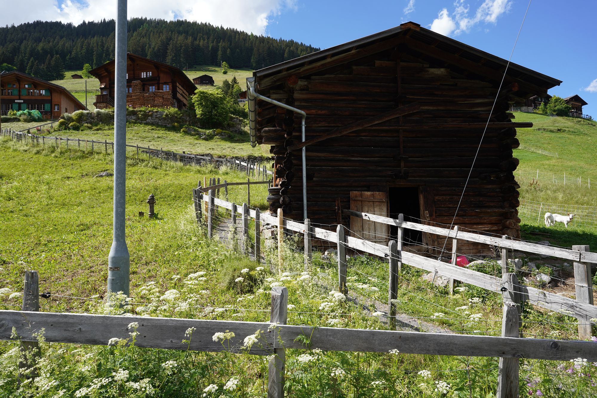 Gimmelwald (113) Gimmelwald (113)