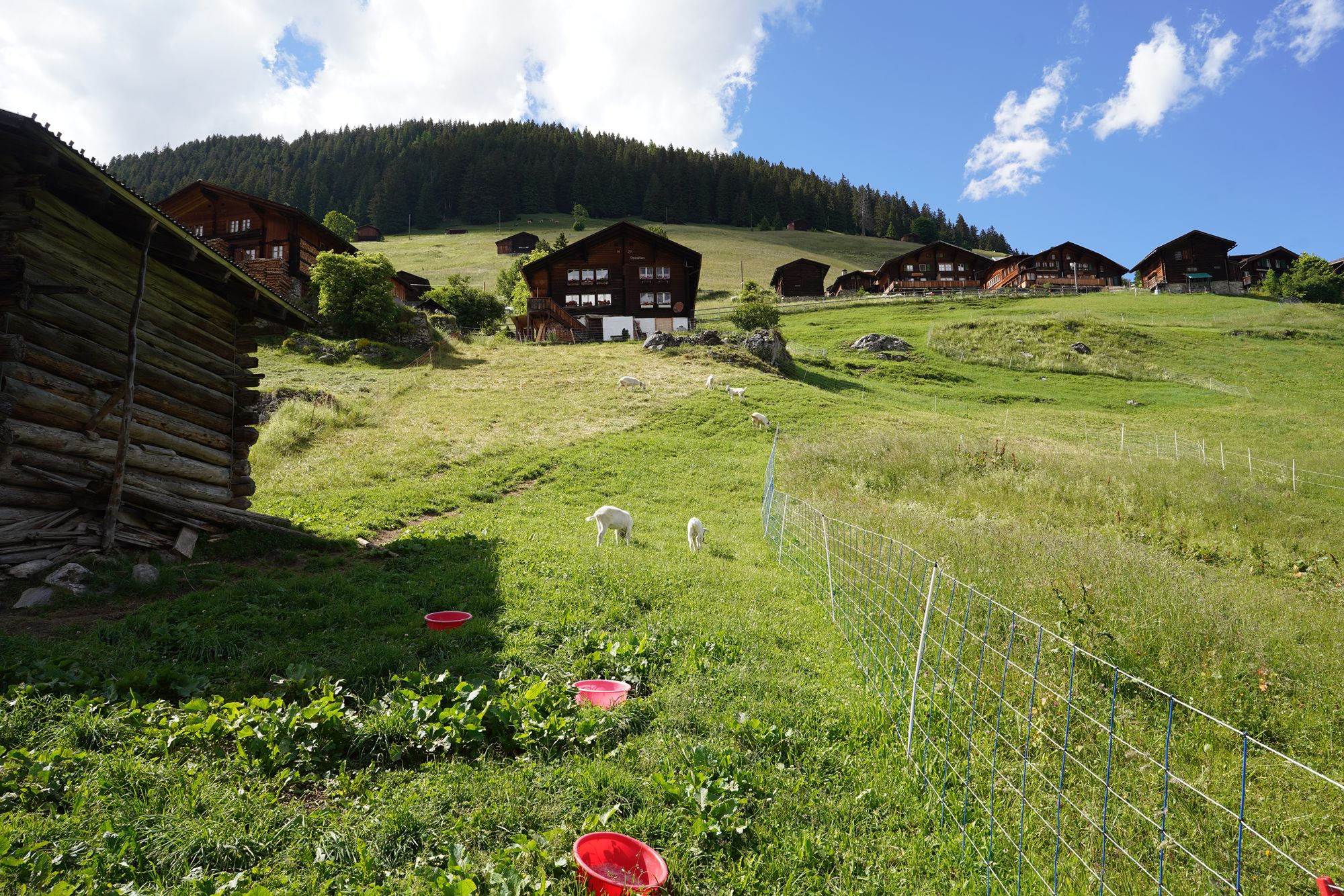 Gimmelwald (114) Gimmelwald (114)