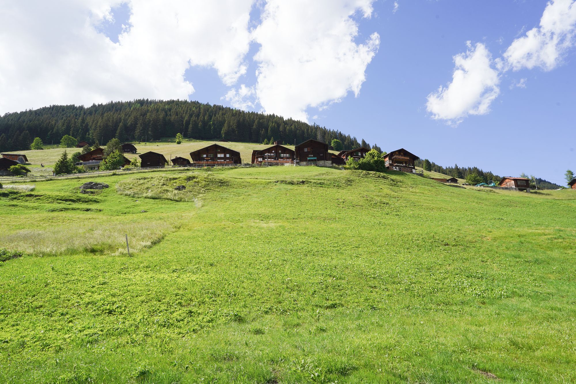 Gimmelwald (120) Gimmelwald (120)