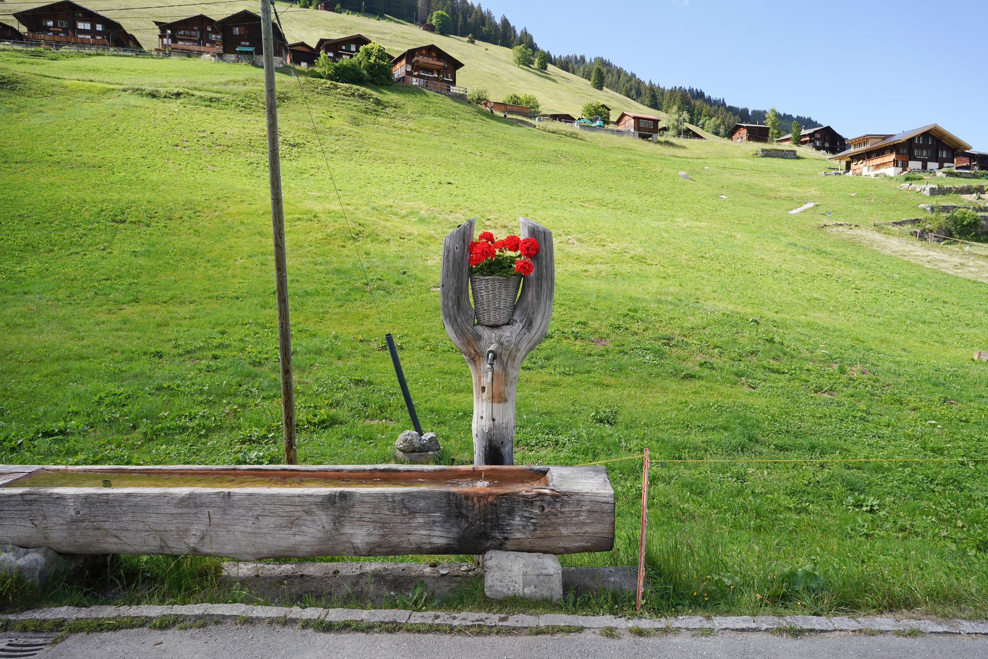 Gimmelwald (122) Gimmelwald (122)