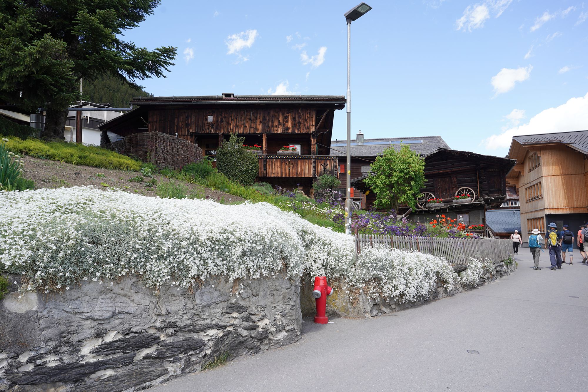 Gimmelwald (16) Gimmelwald (16)