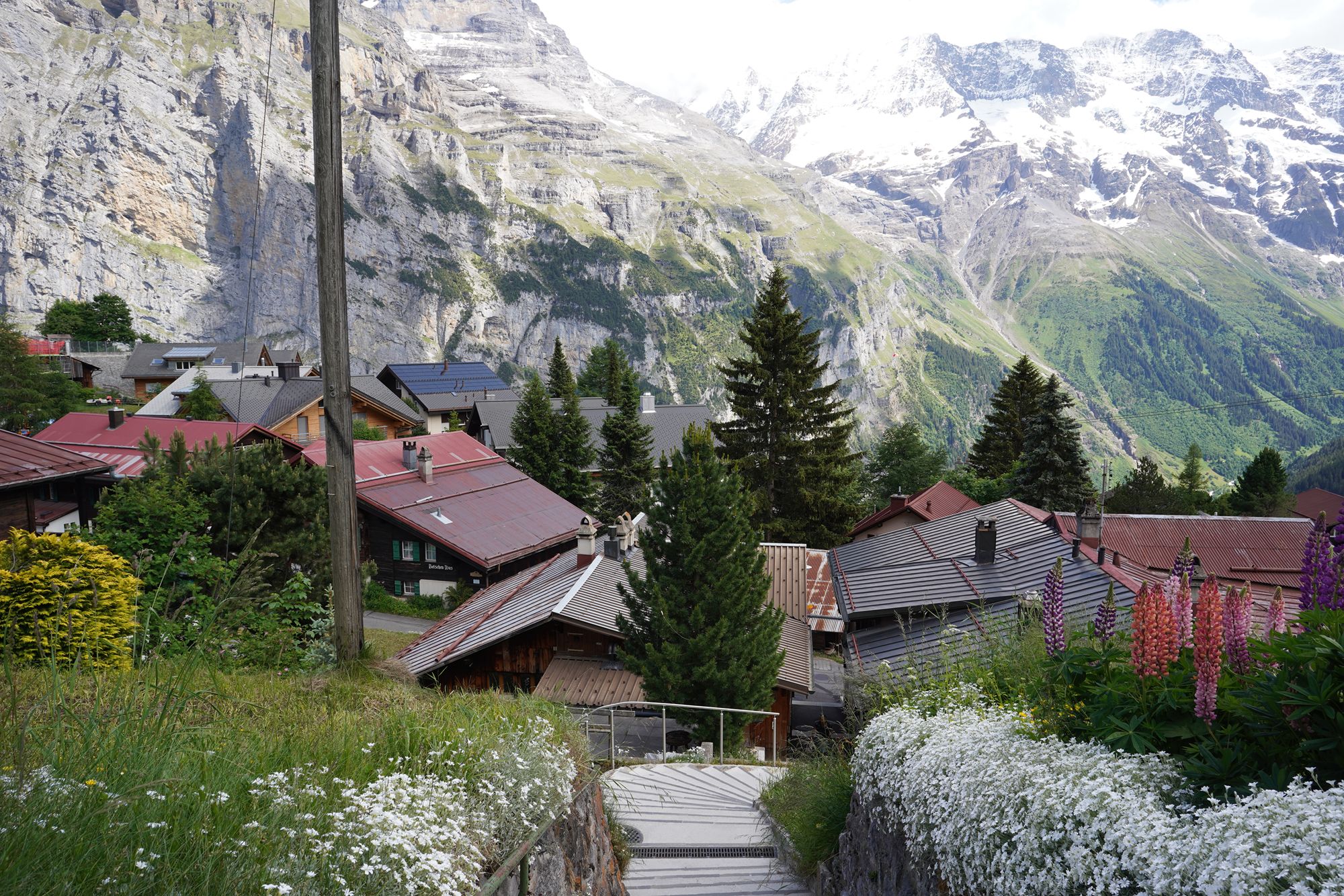 Gimmelwald (25) Gimmelwald (25)
