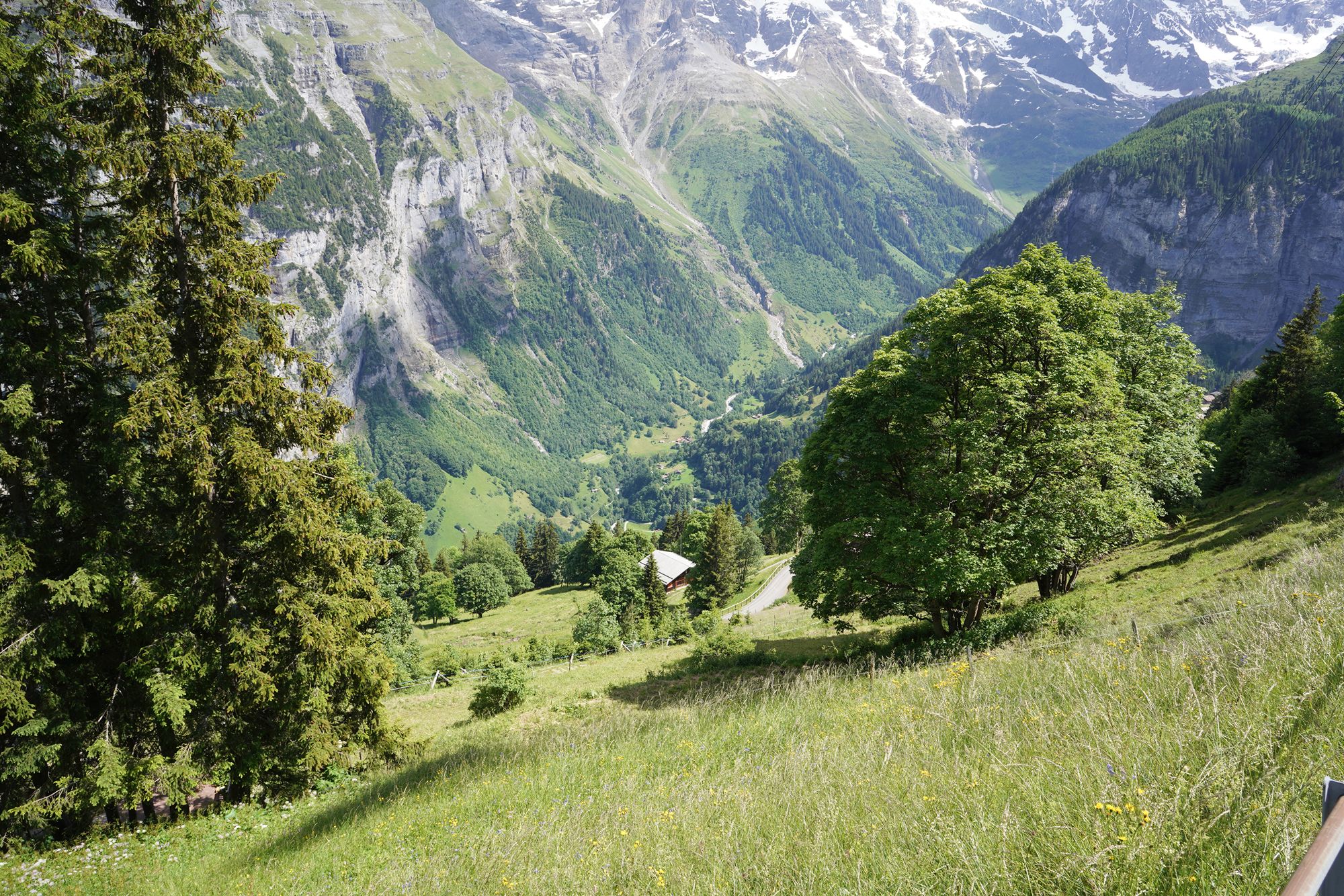 Gimmelwald (47) Gimmelwald (47)