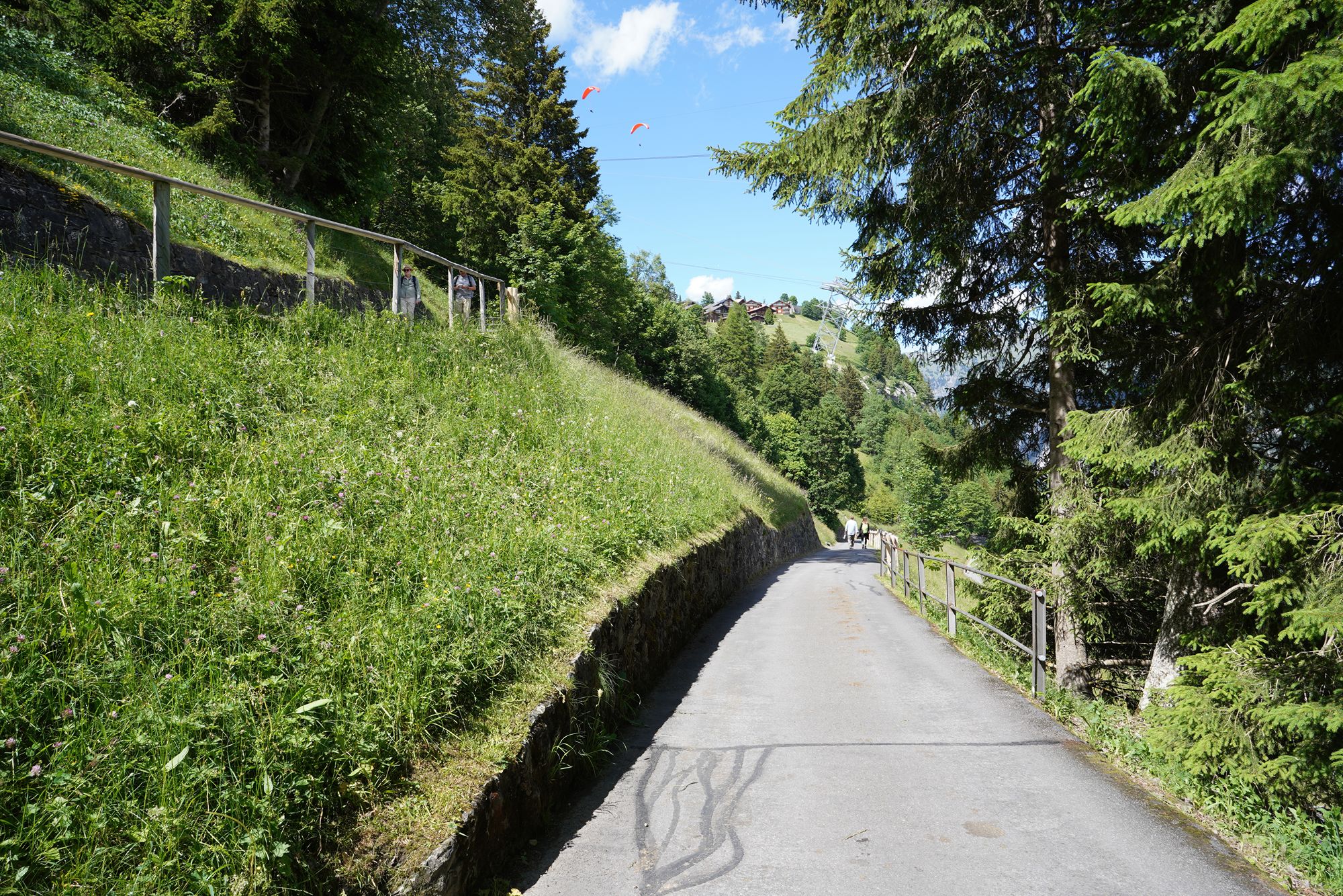 Gimmelwald (51) Gimmelwald (51)