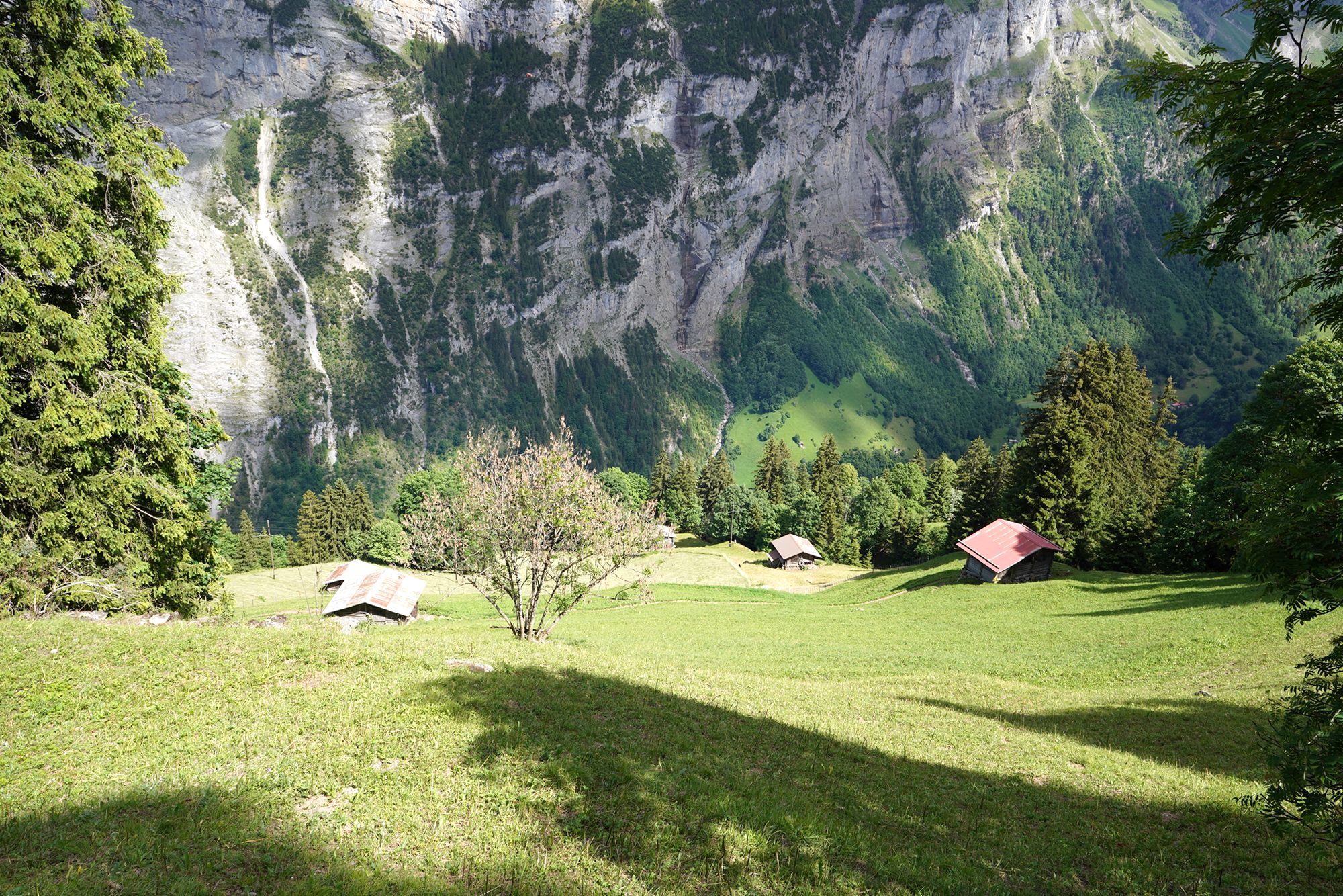Gimmelwald (59) Gimmelwald (59)