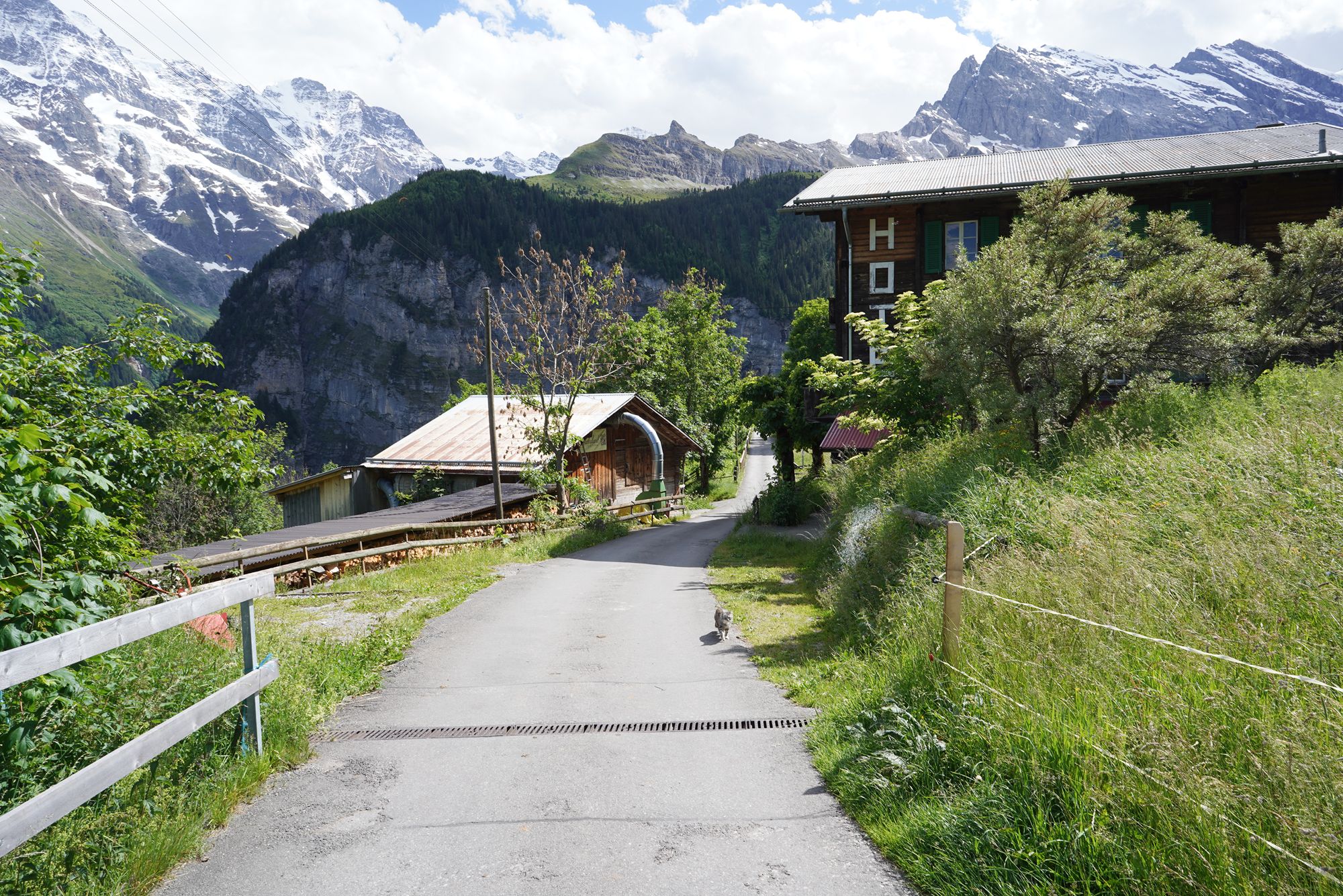 Gimmelwald (71) Gimmelwald (71)