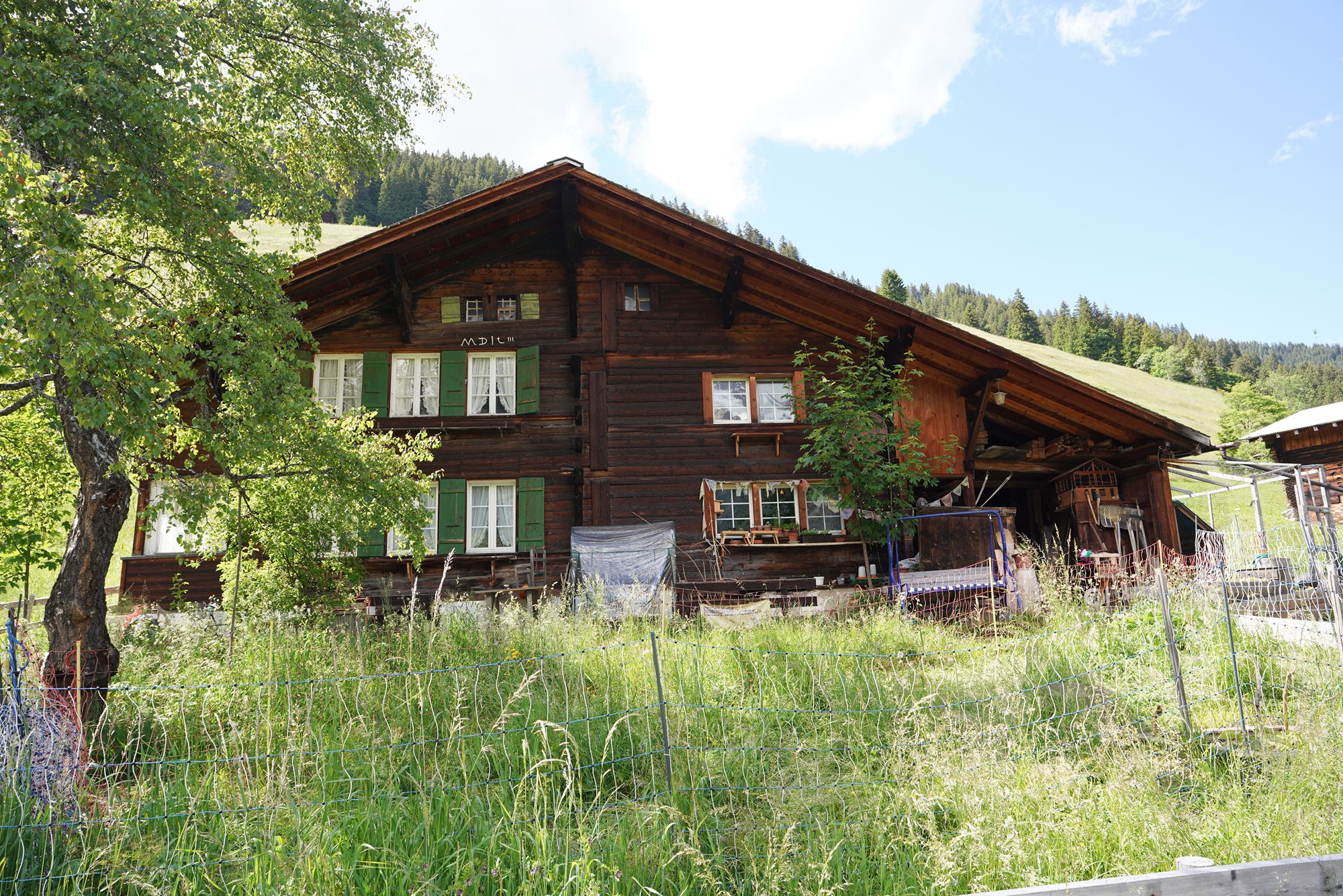Gimmelwald (81) Gimmelwald (81)