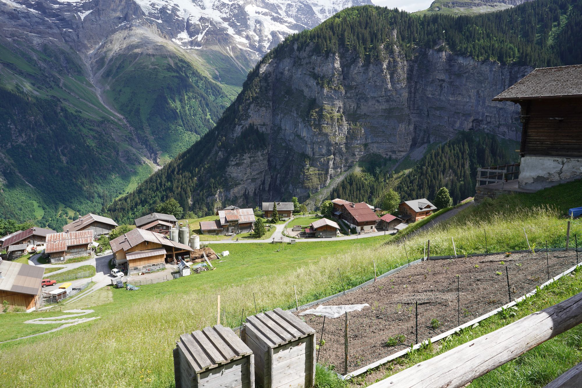 Gimmelwald (85) Gimmelwald (85)