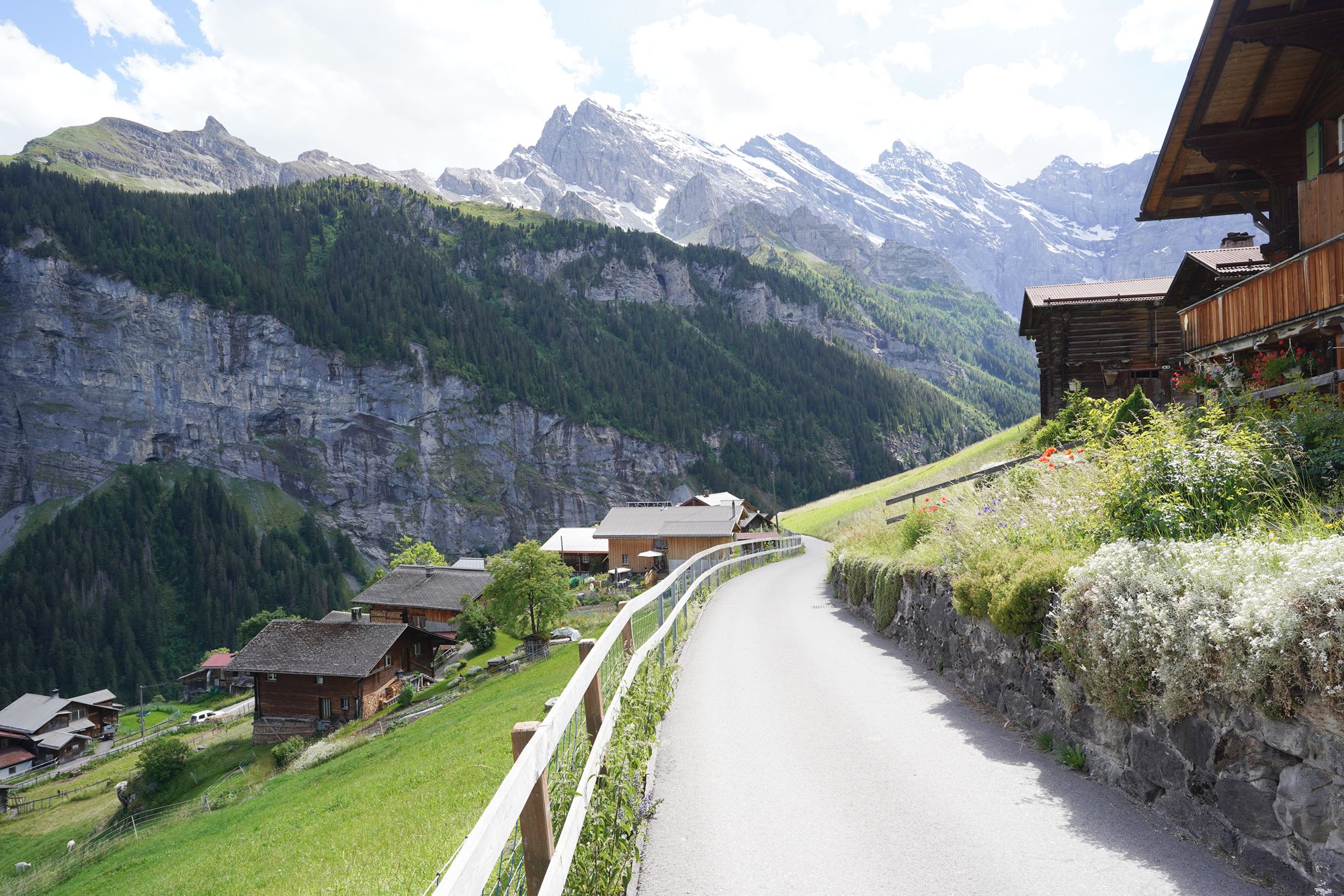 Gimmelwald (88) Gimmelwald (88)