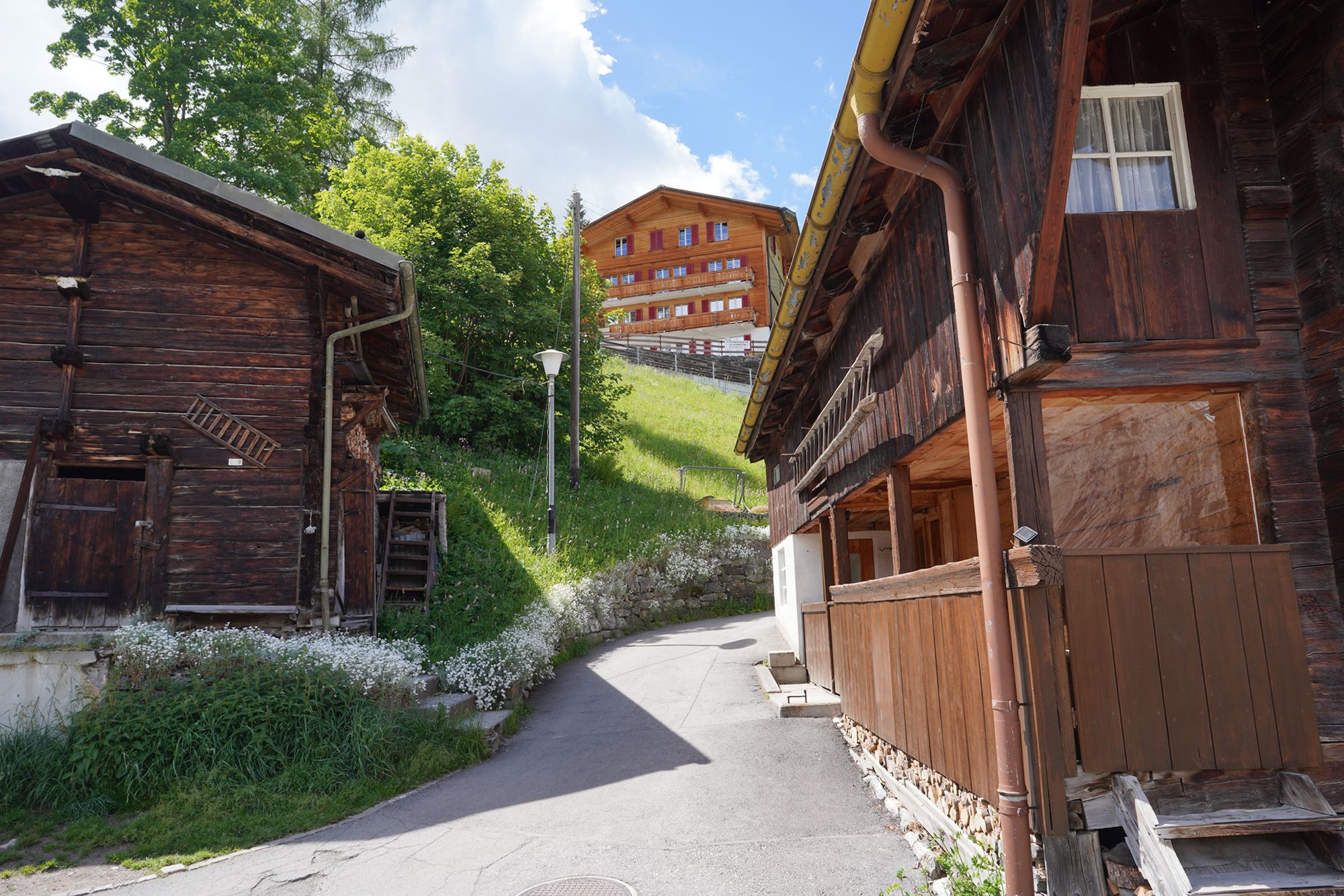 Gimmelwald (9) Gimmelwald (9)