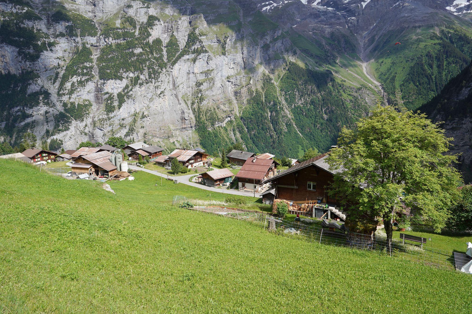 Gimmelwald (96) Gimmelwald (96)