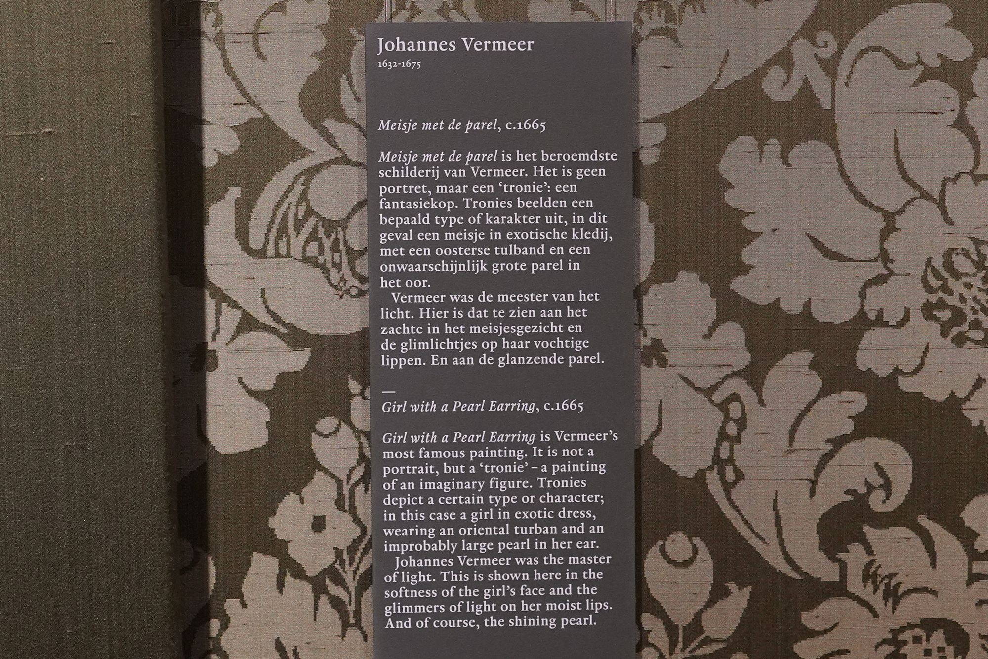Hague, Mauritshuis Museum (104) Hague, Mauritshuis Museum (104)