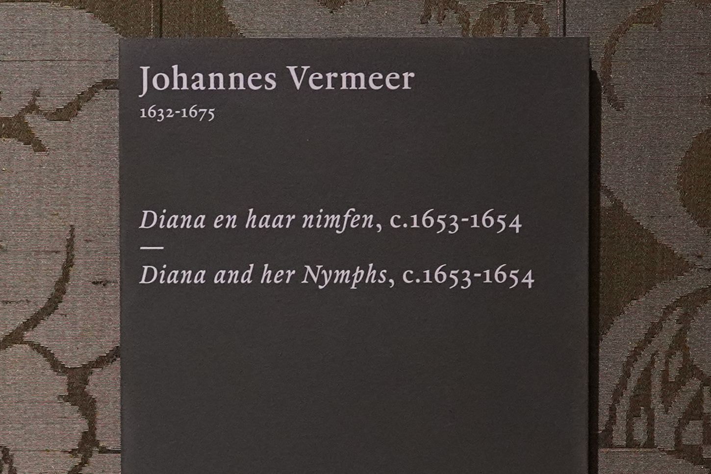 Hague, Mauritshuis Museum (120) Hague, Mauritshuis Museum (120)