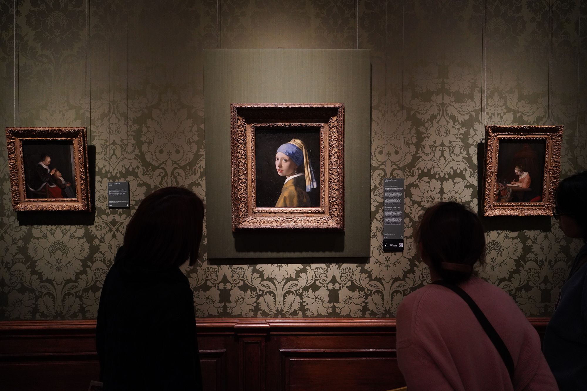 Hague, Mauritshuis Museum (121)