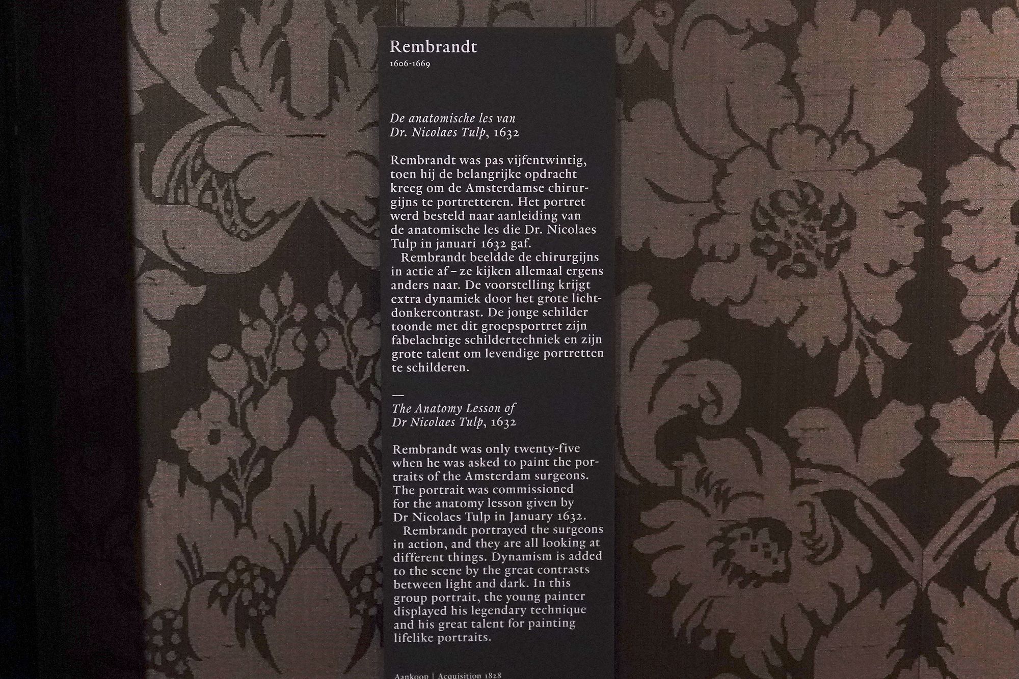 Hague, Mauritshuis Museum (134) Hague, Mauritshuis Museum (134)