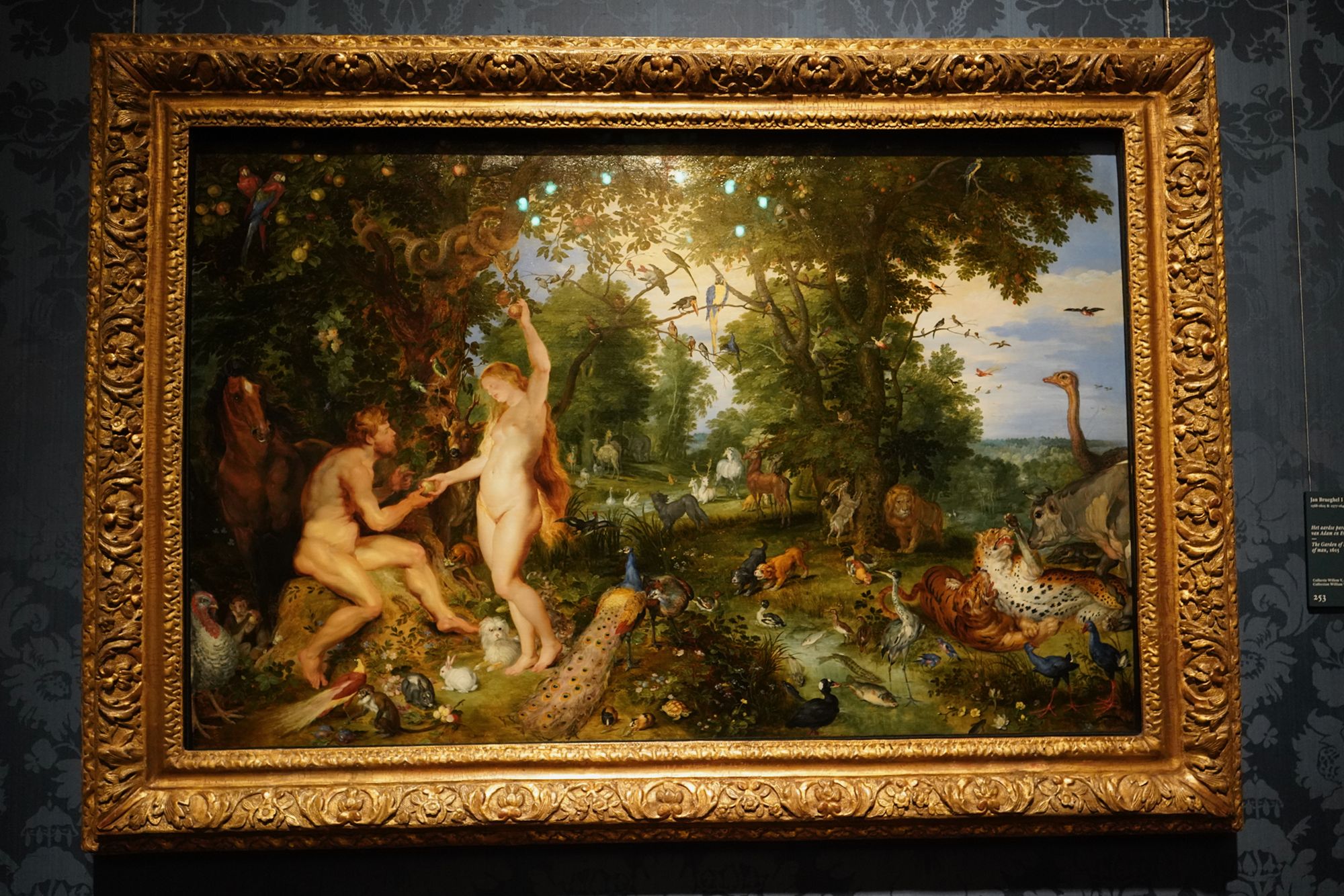 Hague, Mauritshuis Museum (44) Hague, Mauritshuis Museum (44)