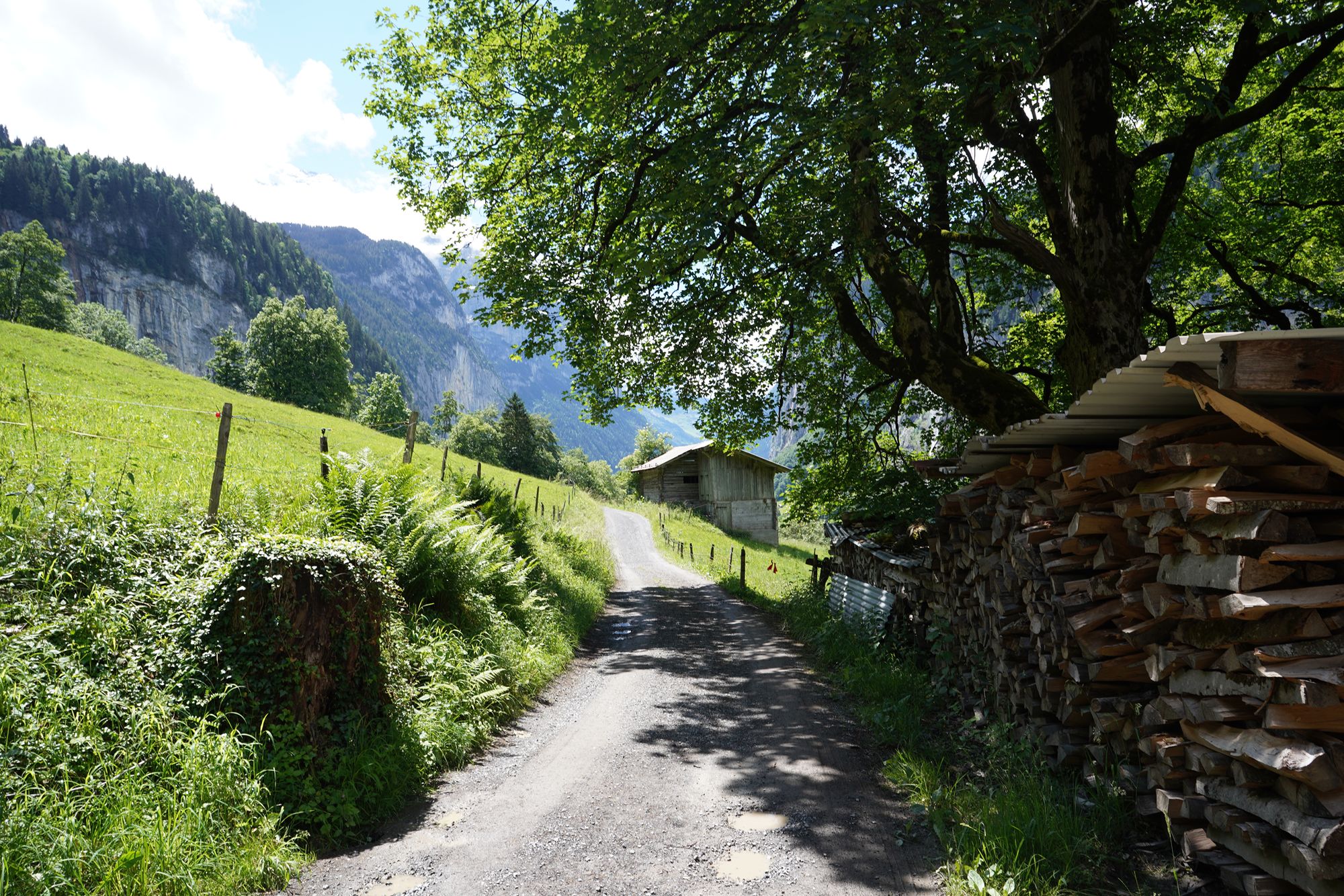 Hike Down to Lauterbrunnen (104) Hike Down to Lauterbrunnen (104)