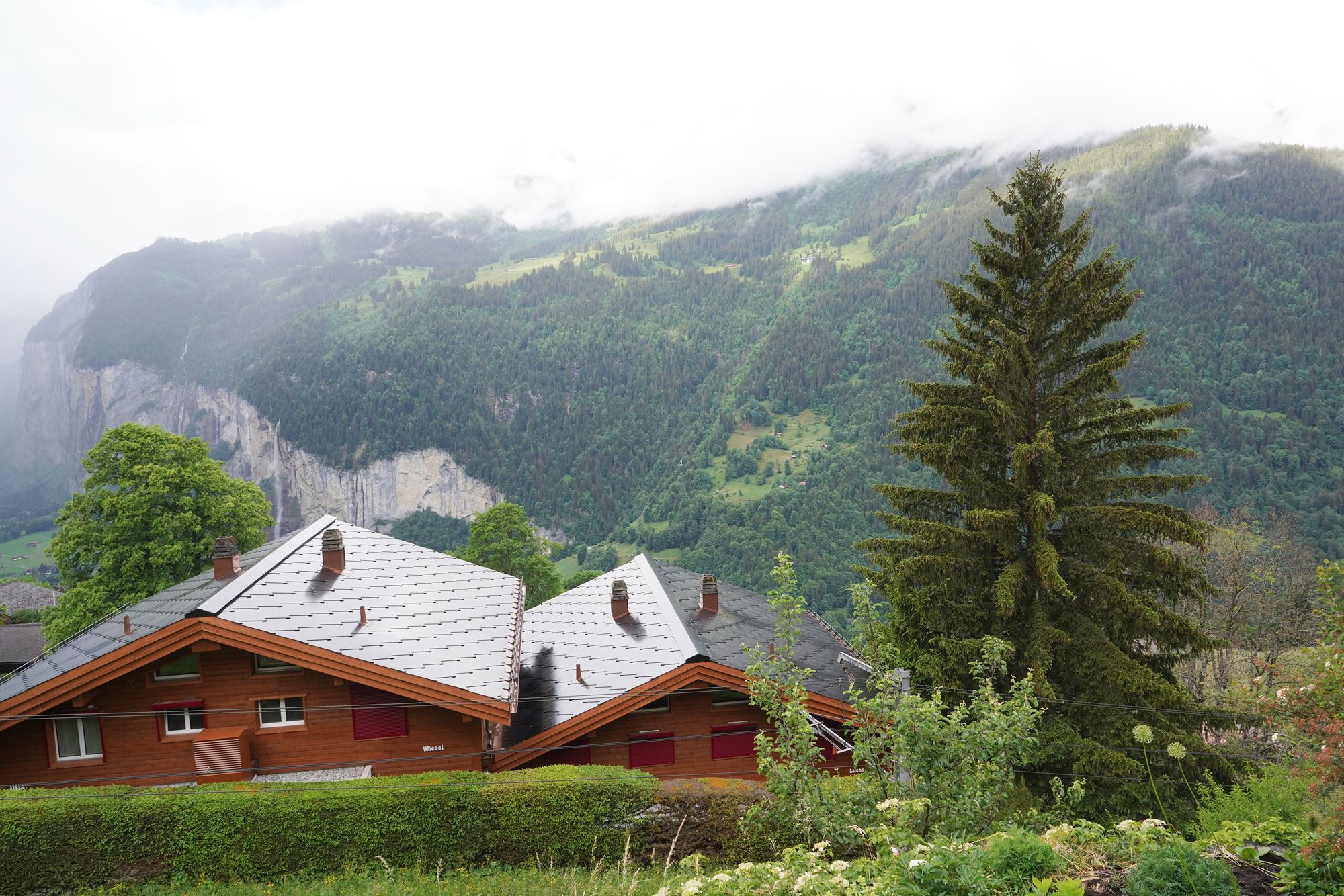 Hike Down to Lauterbrunnen (13) Hike Down to Lauterbrunnen (13)